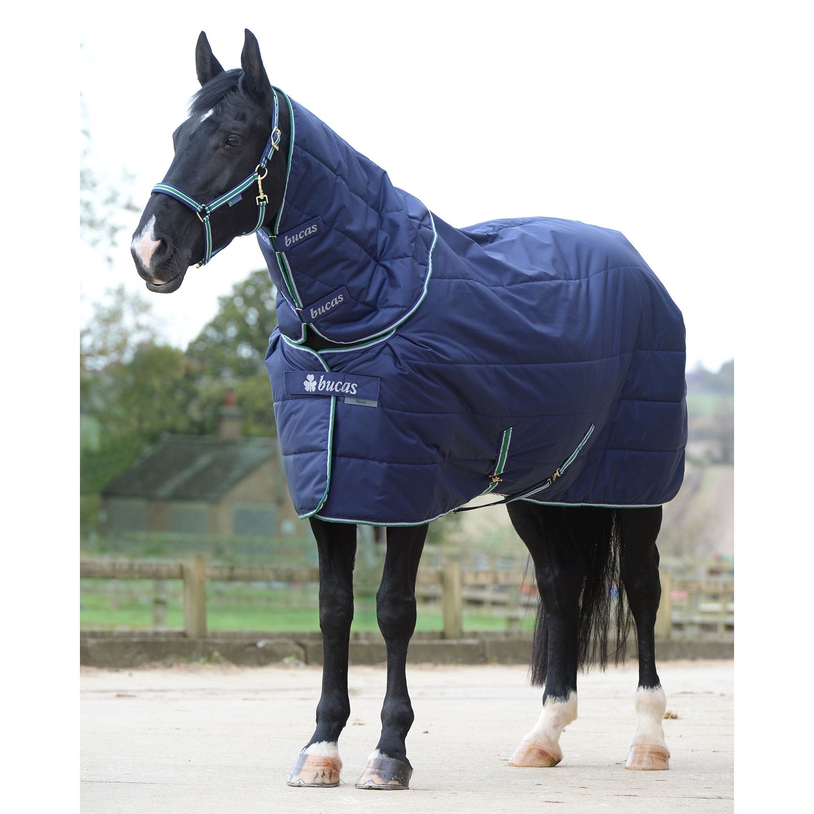 Bucas Quilt 150 g SF Big Neck Hästtäcken