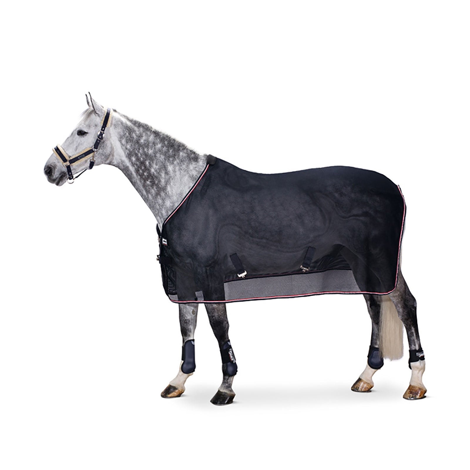 Eskadron MESH DURA flugtäcke Hästtäcken