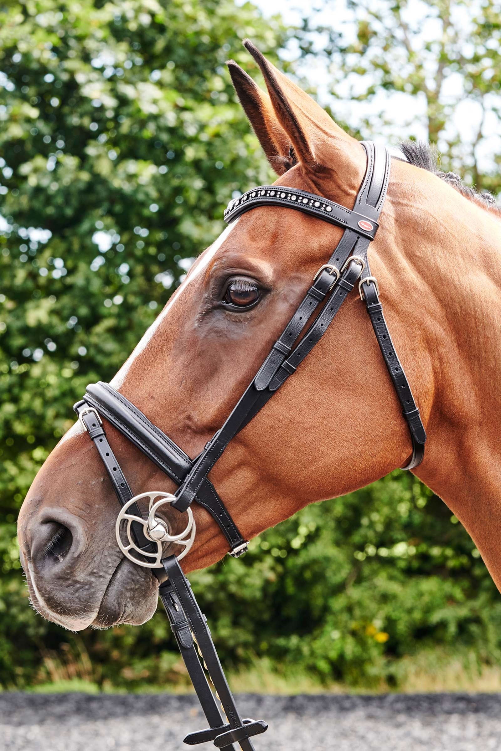 John Whitaker Lynton Flash Bridle with Spare Browband Bridles & Reins