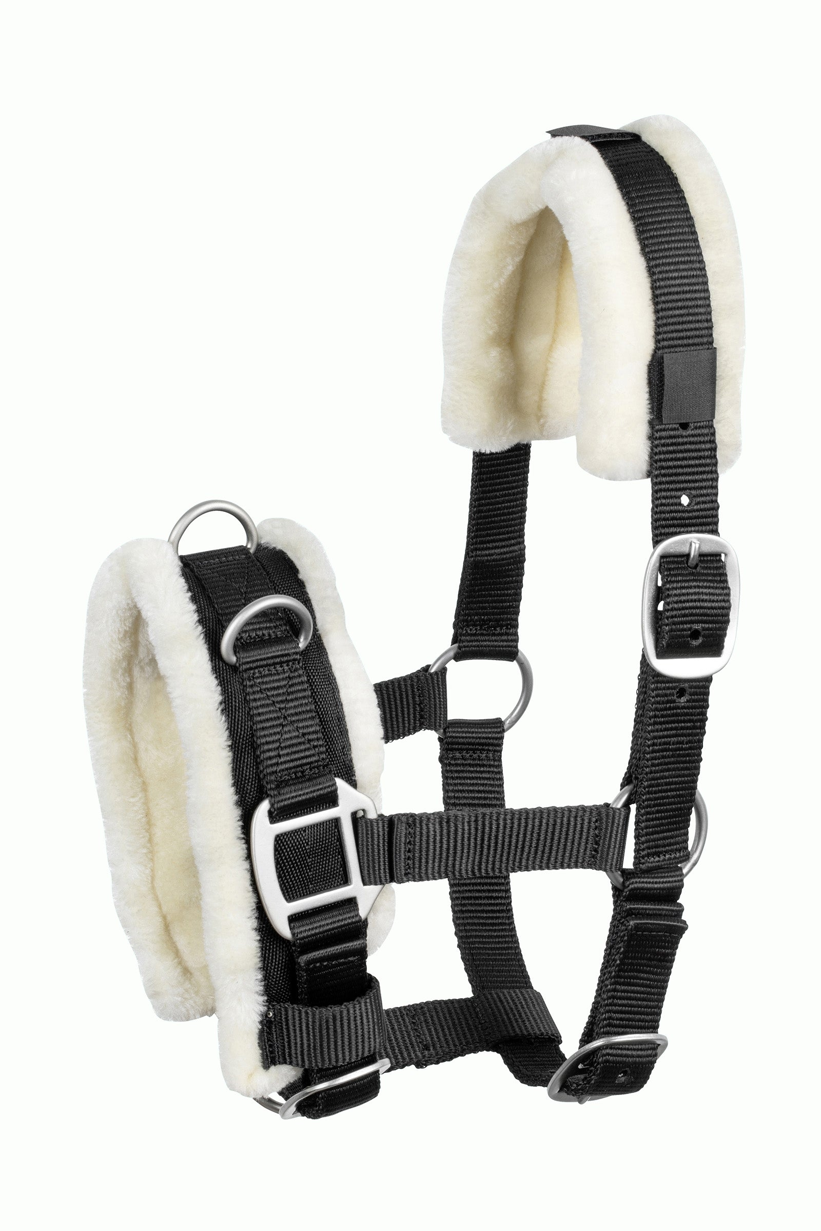 USG Shetty Cavesson Träning & longering