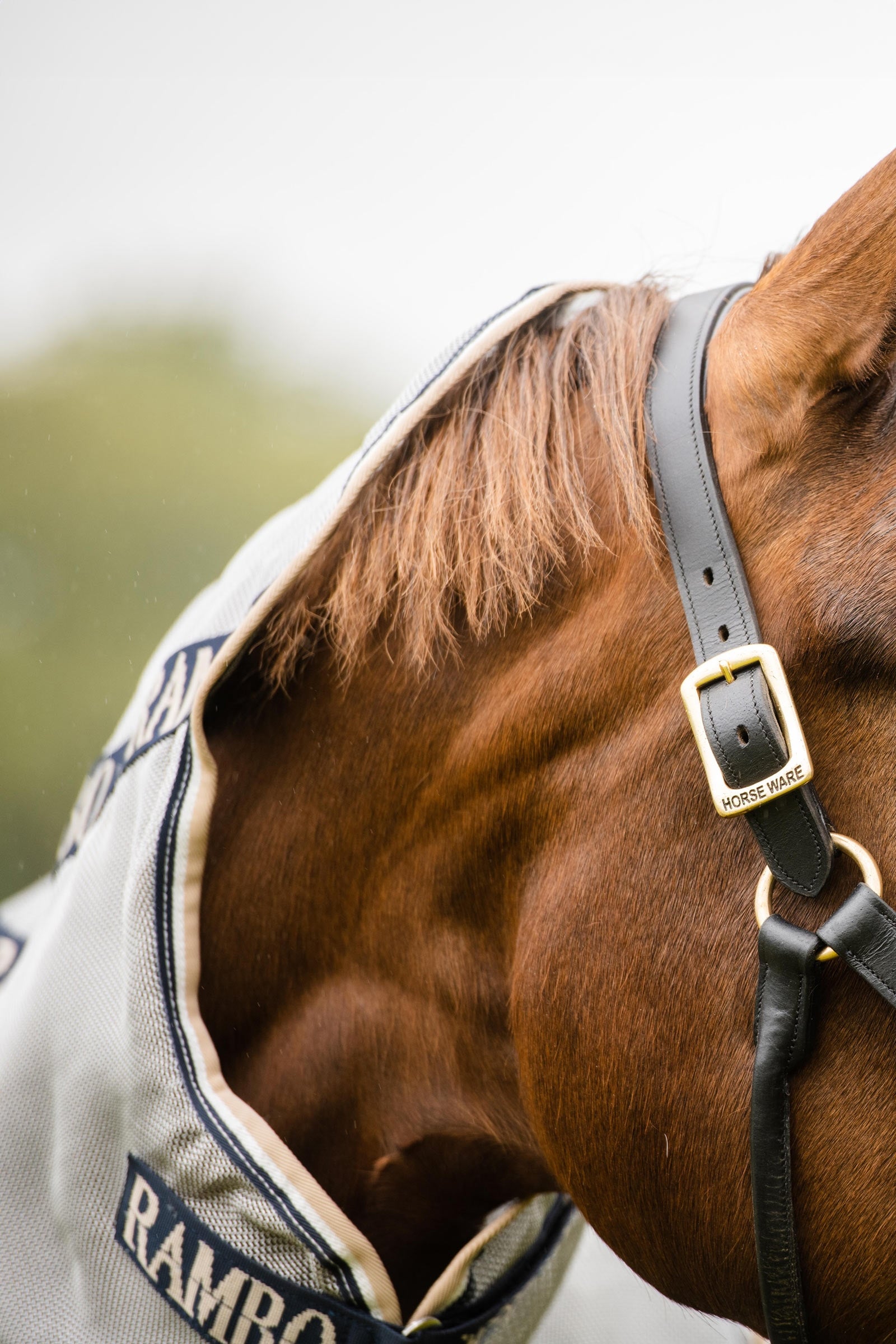 Horseware Rambo Protector Fly Rug With Detachable Neck Horse Rugs