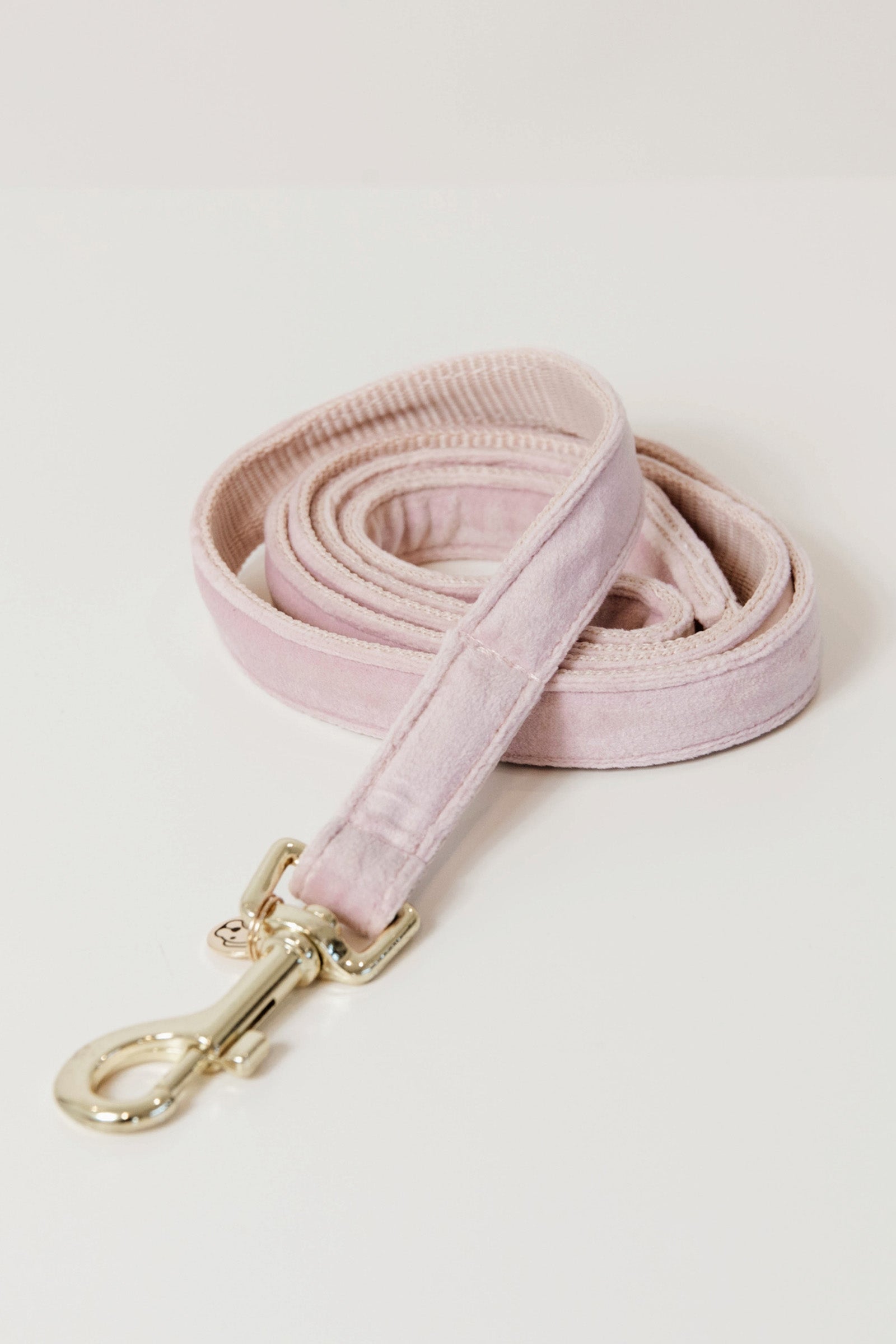 Kentucky Dogwear Dog Velvet hundkoppel Utrustning för hundar