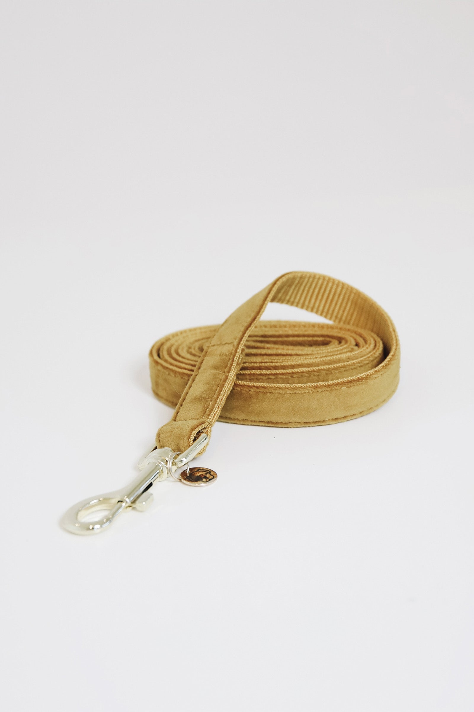 Kentucky Dogwear Dog Velvet hundkoppel Utrustning för hundar