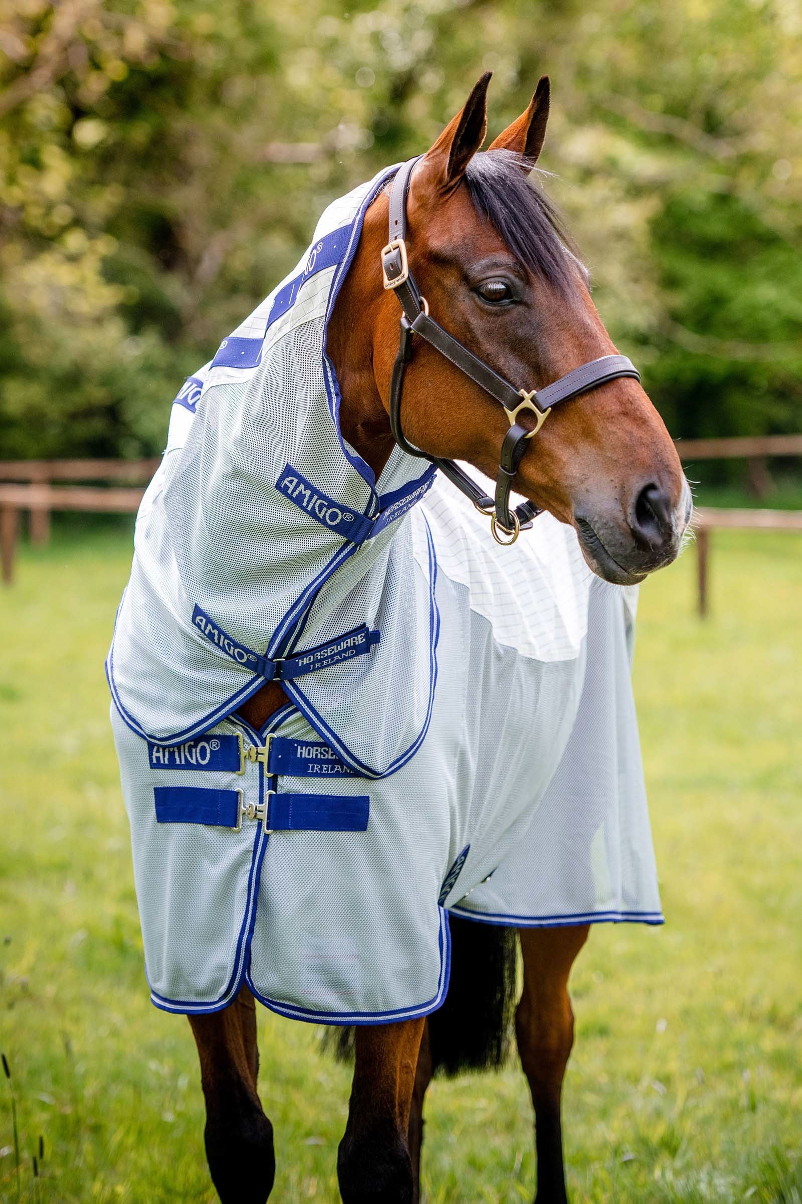 Horseware Amigo Airflow Fly Rug With Detachable Neck Horse Rugs
