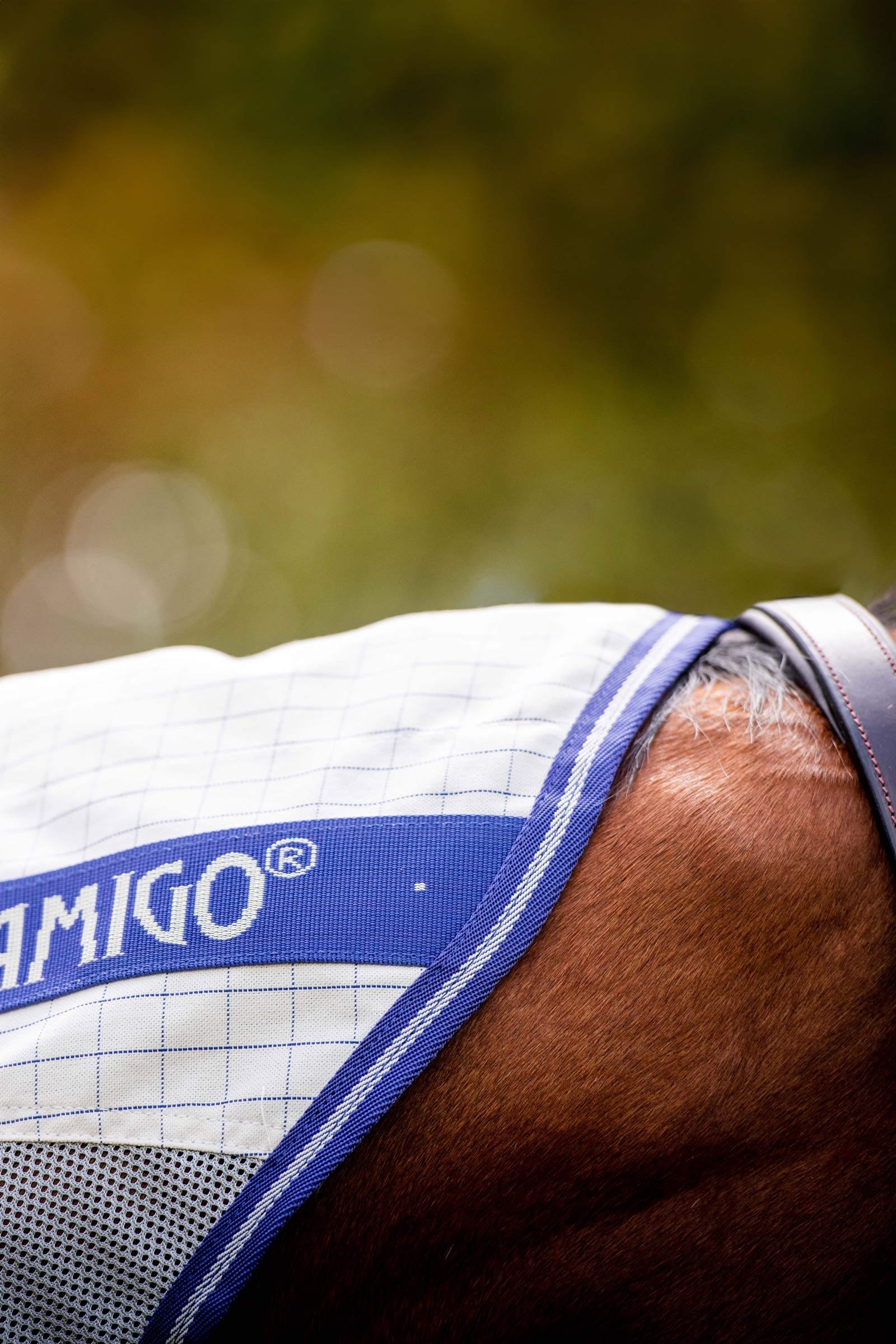 Horseware Amigo Airflow Fly Rug With Detachable Neck Horse Rugs