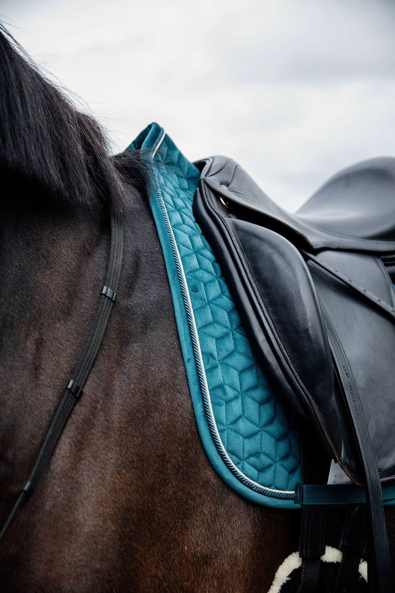 Kentucky Horsewear Velvet Dressage Saddle Pad Saddle Pads