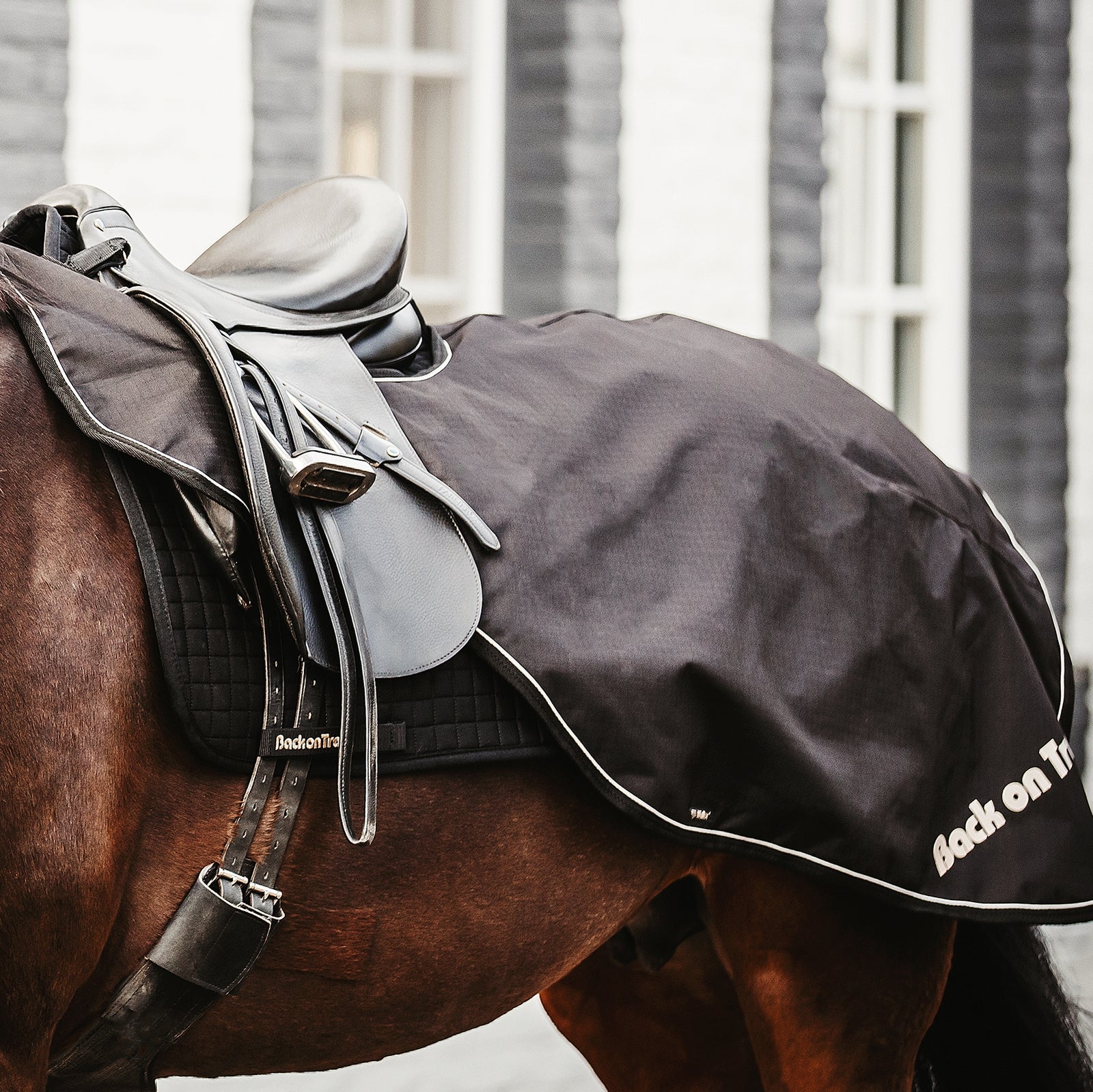 Back on Track Sammy Riding Rug, 50g Horse Rugs