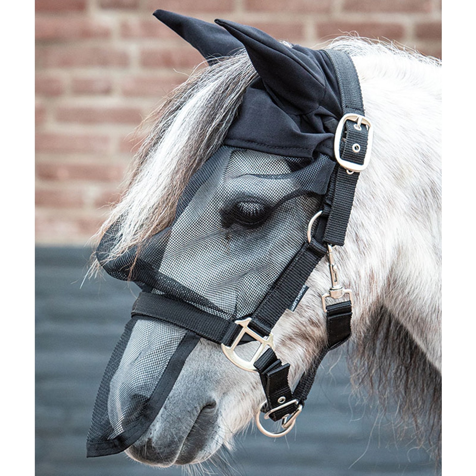 Harry's Horse Fly Mask Headcollar with Ears Halters & Leads
