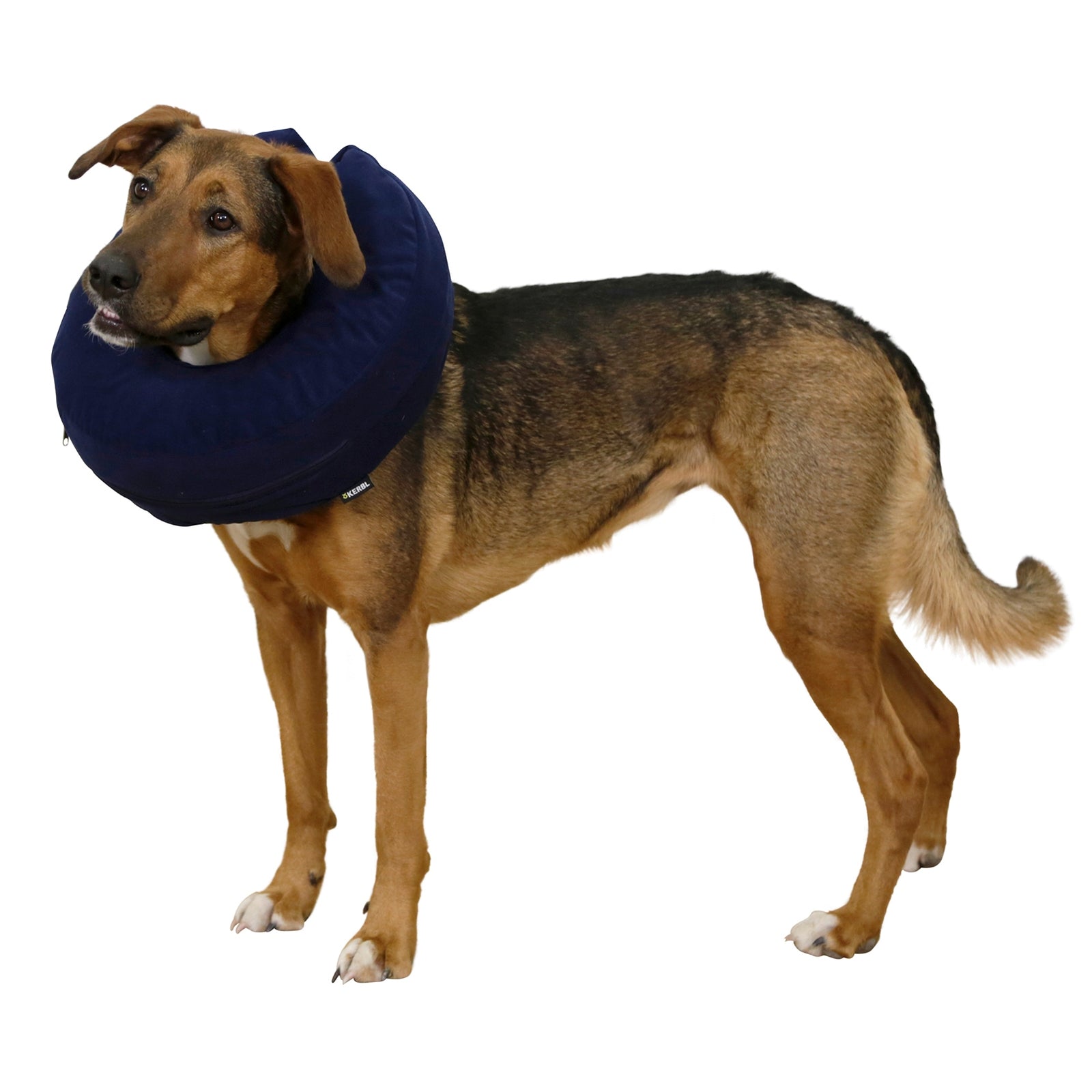 Kerbl Inflatable Dog Neck Collar 36-50cm Dog Accesories