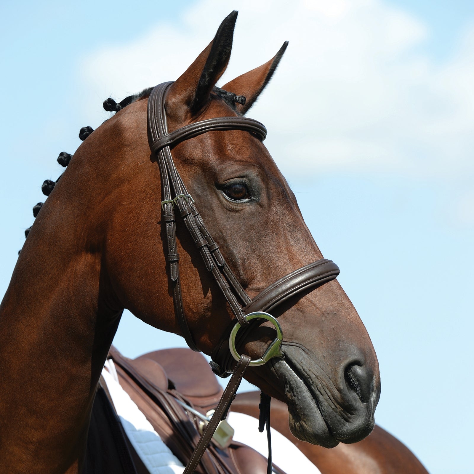 Collegiate Syntovia+ Padded Raised Cavesson Bridle Bridles & Reins