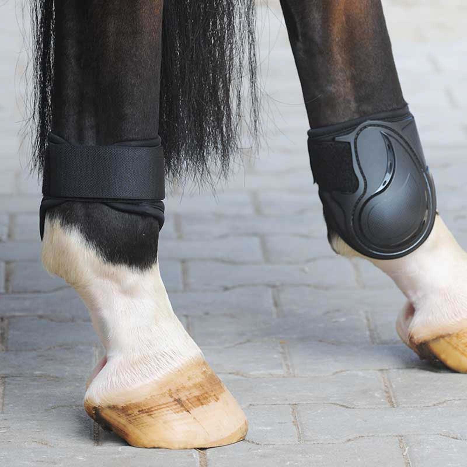 Kavalkade Compete kotskydd Leg Protection & Hoof Protection for Horses