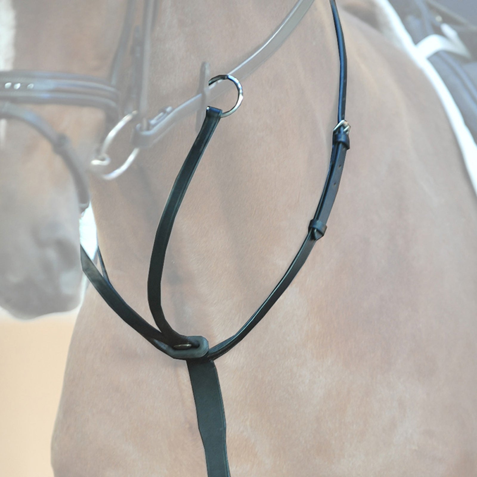 Kavalkade Ecoline Martingal with Stoppers Bridles & Reins