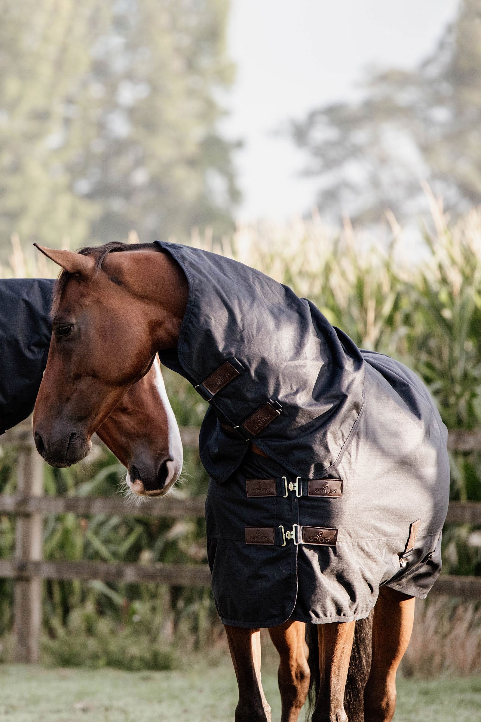 Kentucky Horsewear Turnout Rug All Weather Waterproof Classic, 0g Hästtäcken