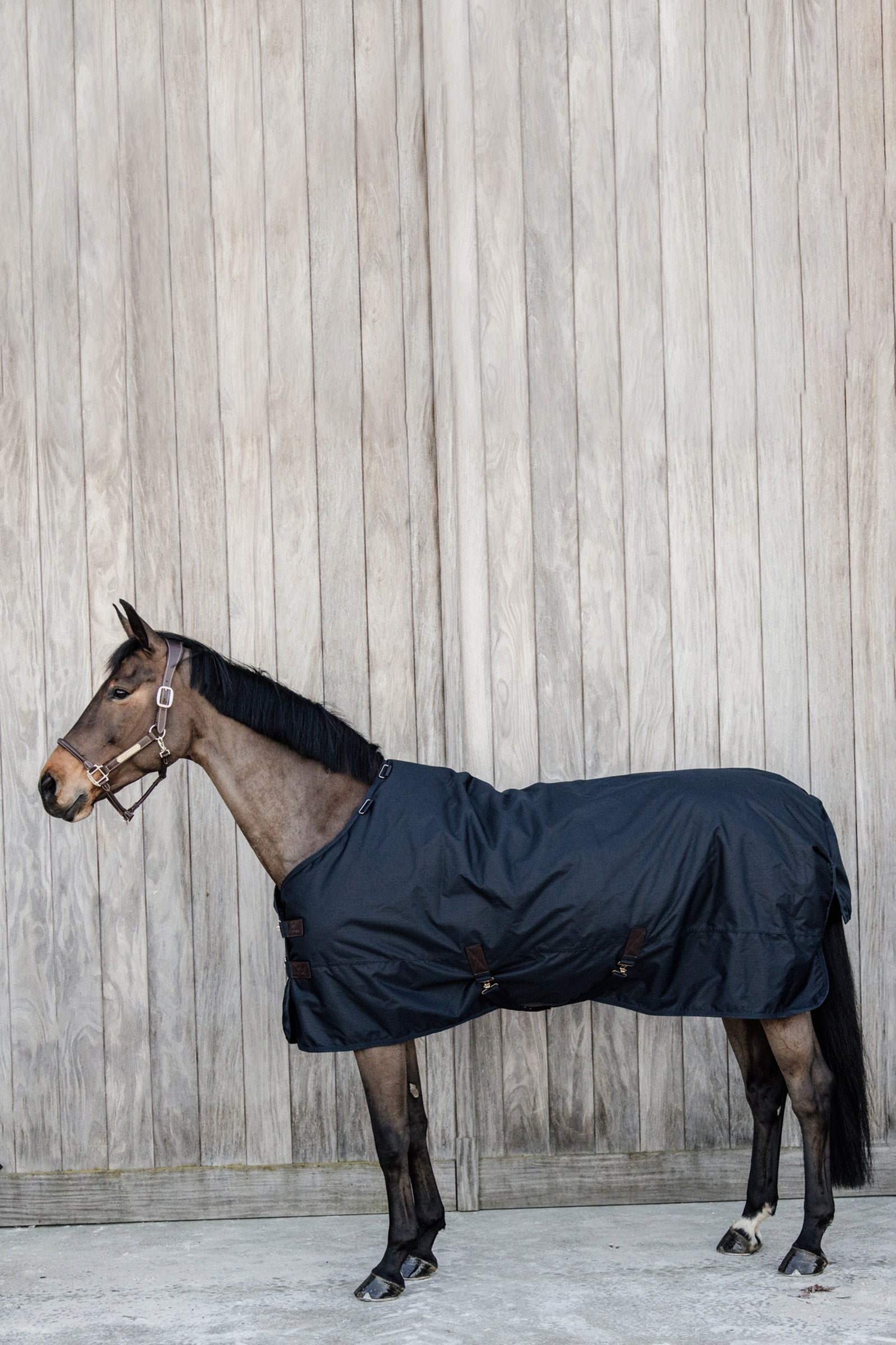 Kentucky Horsewear Turnout Rug All Weather Waterproof Classic, 50g Hästtäcken