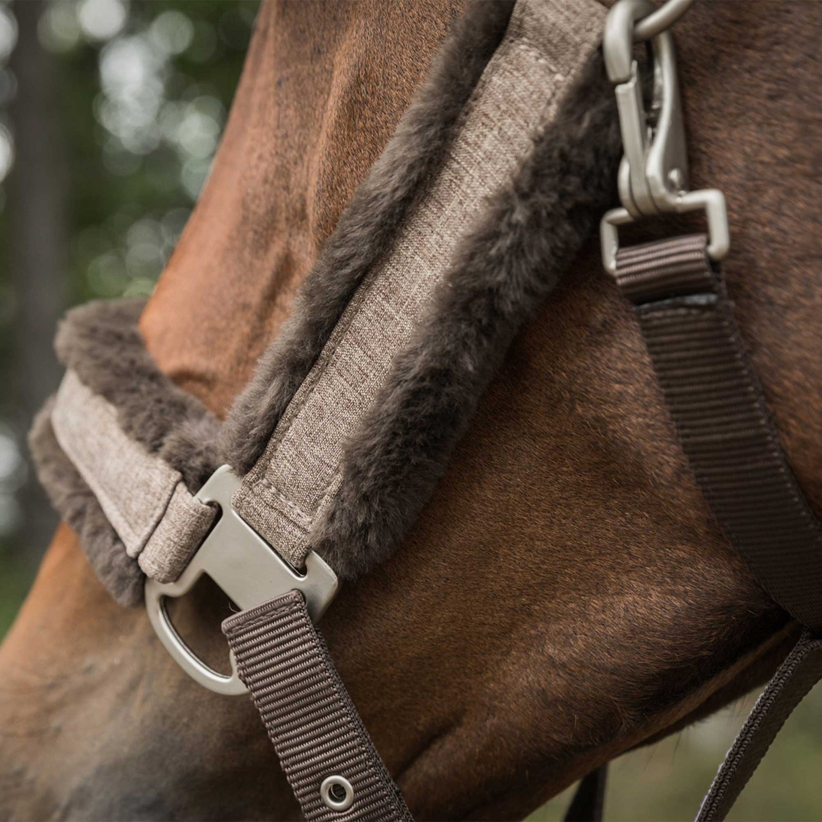Back on Track Haze Collection Halter Halters & Leads