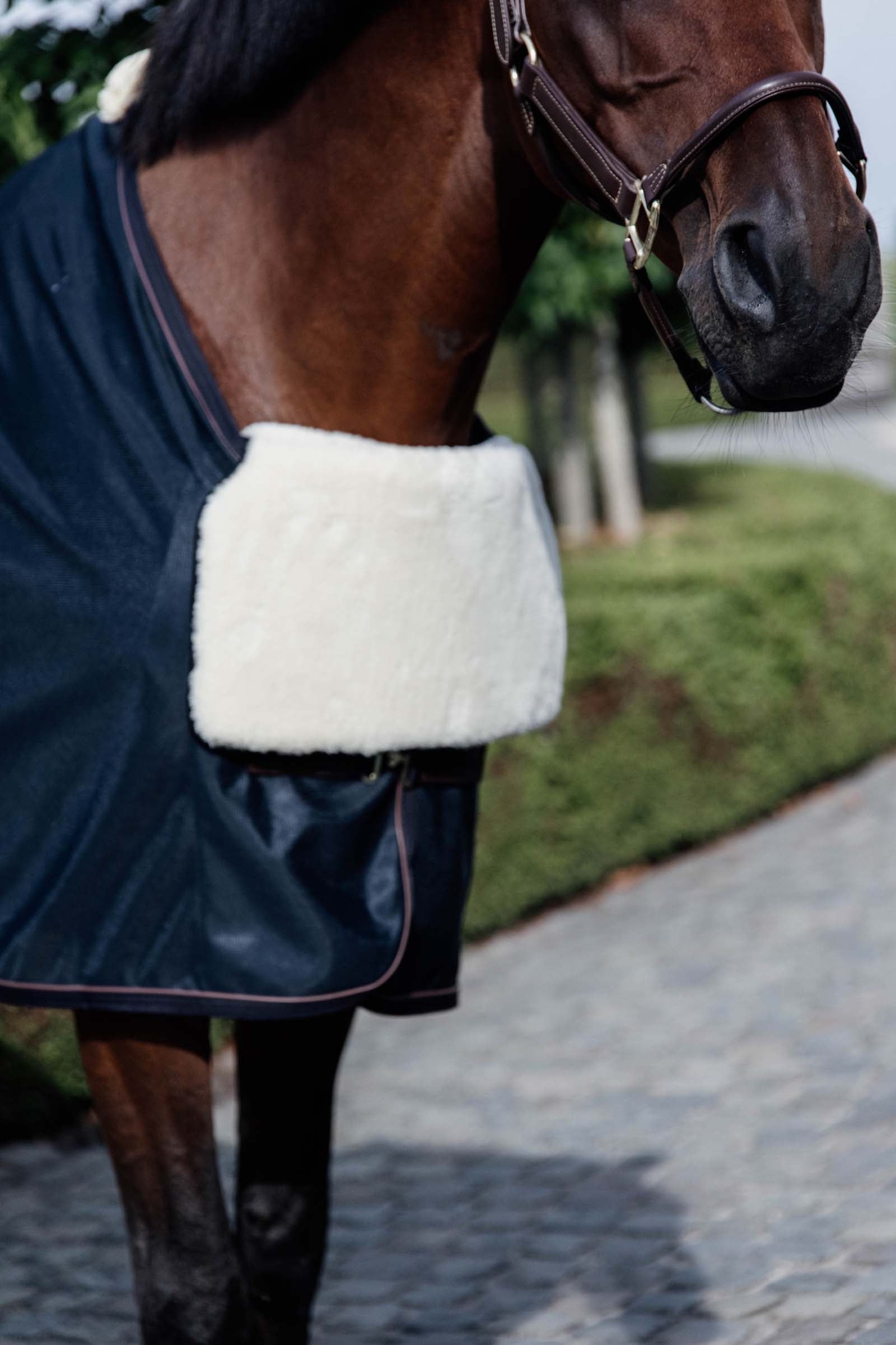 Kentucky Horsewear Horse BIB bogskydd i fårskinn Hästtäcken