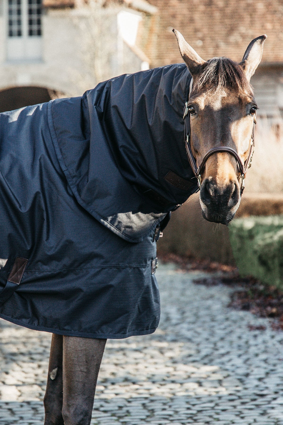 Kentucky Horsewear Turnout Rug All Weather Waterproof Classic, 150g Horse Rugs