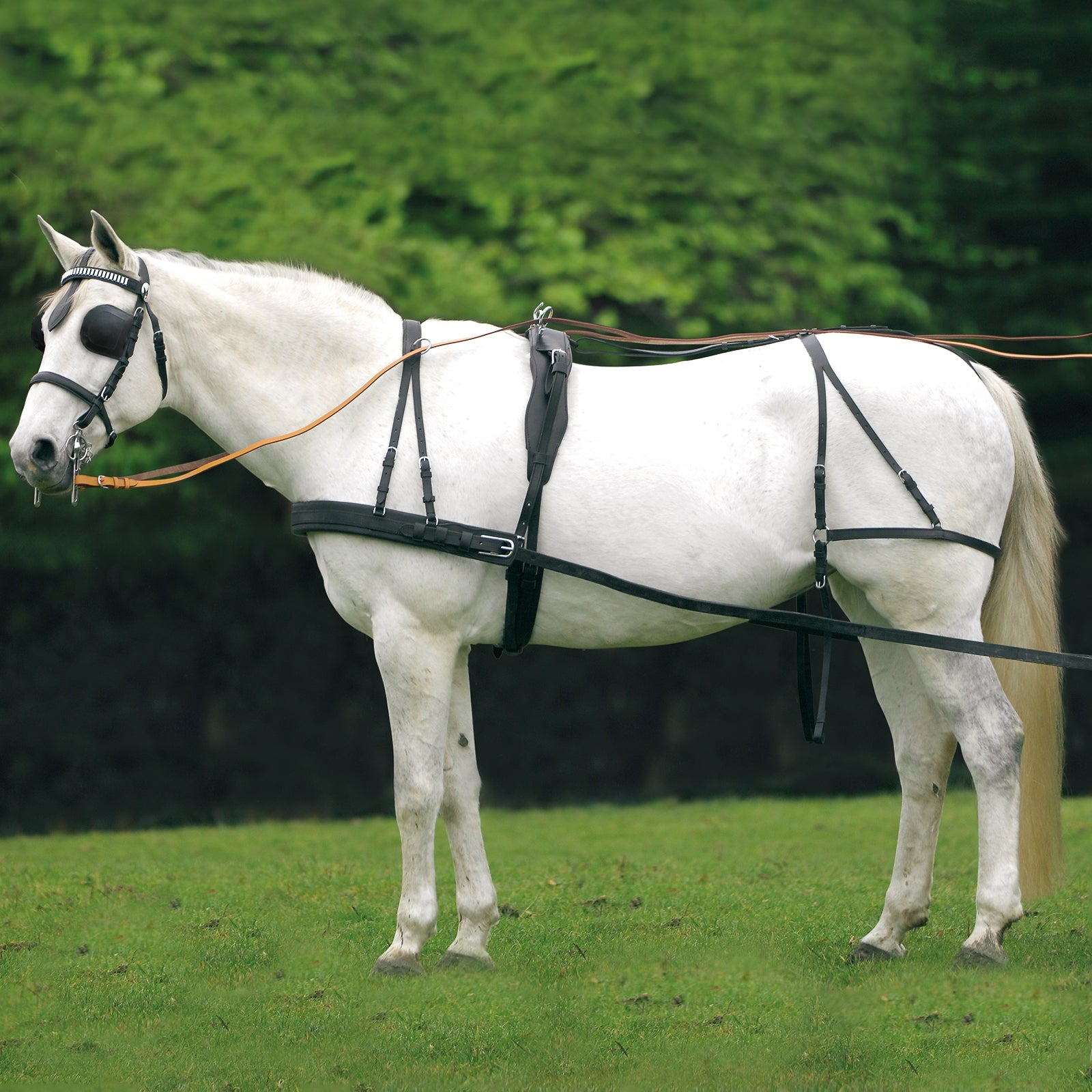 Waldhausen Economic Single Harness Cob and Full Racing Tack