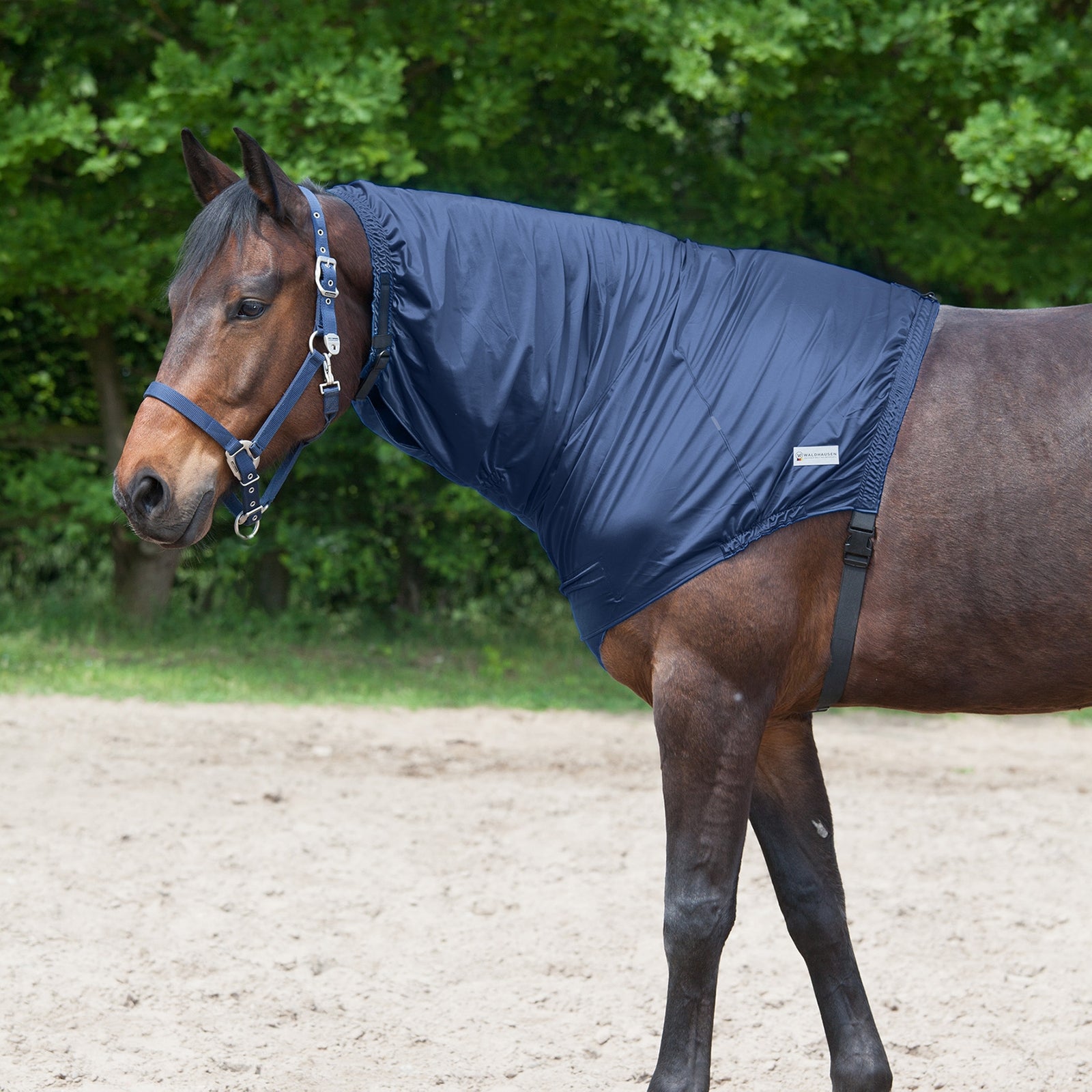 Waldhausen eksem halsstycke Hästtäcken