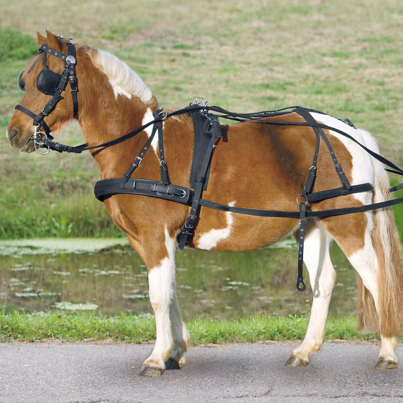 Waldhausen Single Harness Cob and Full Trav