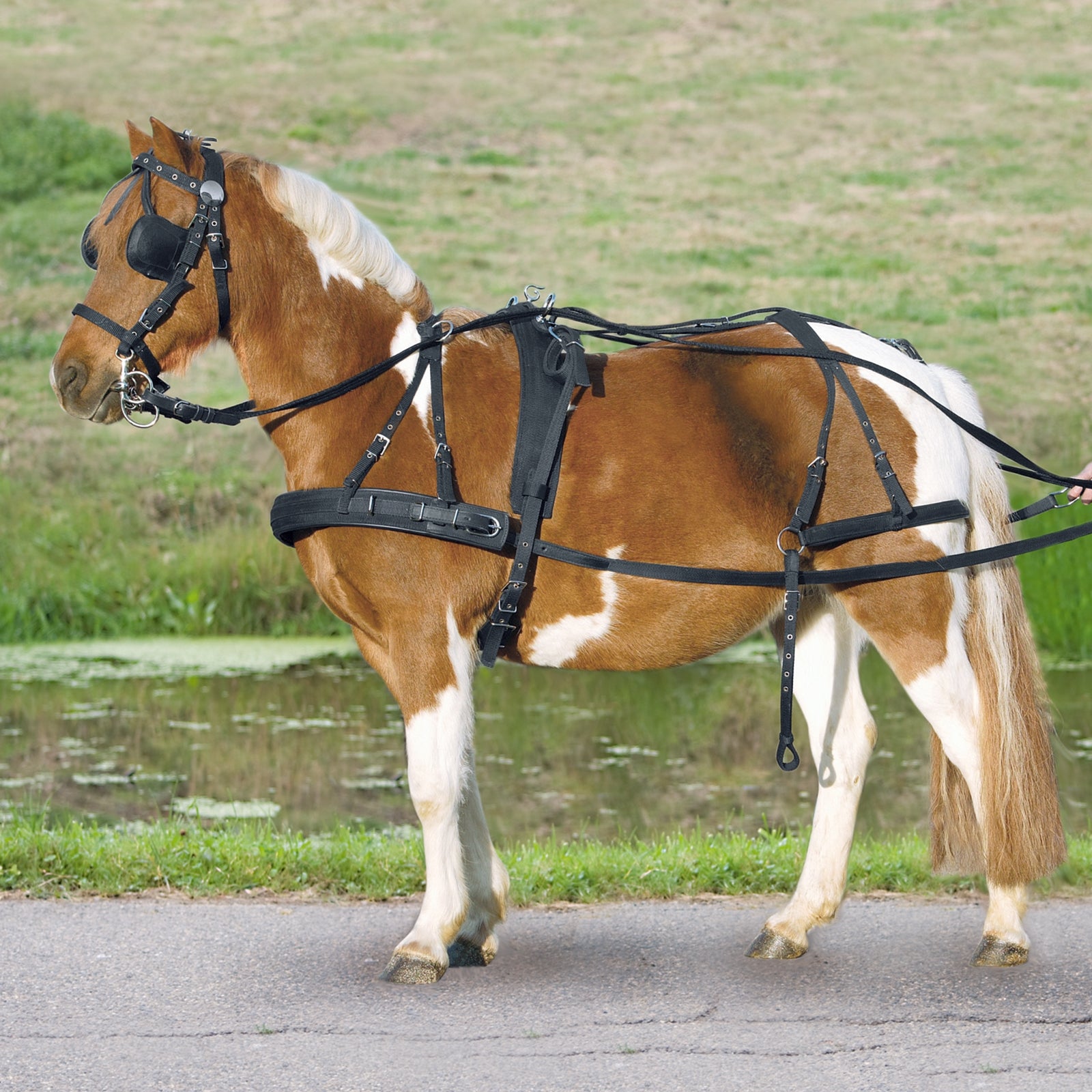 Waldhausen Single Harness Pony och Shetty Trav