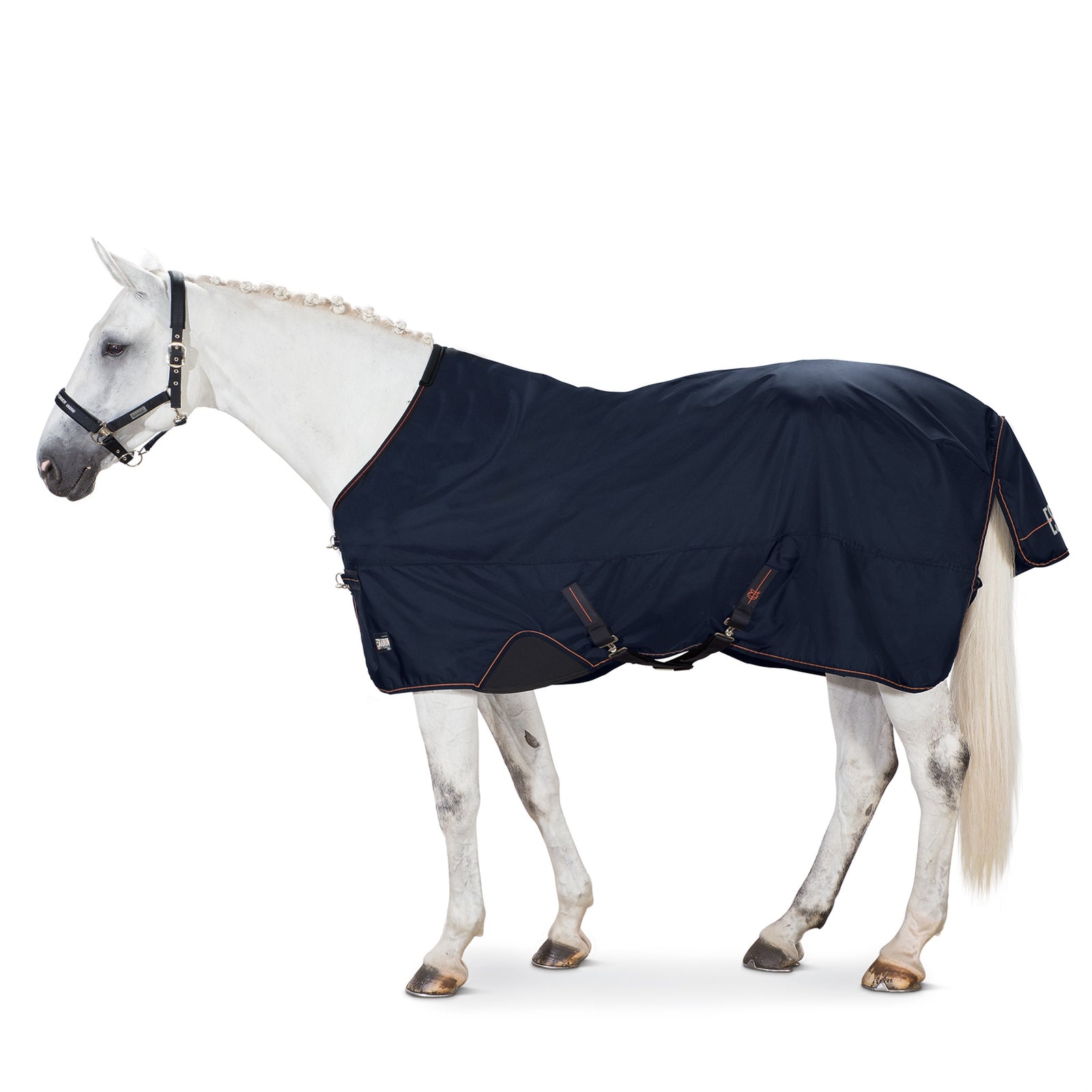 Eskadron Alpha Turnout Täcke, 50 g Hästtäcken