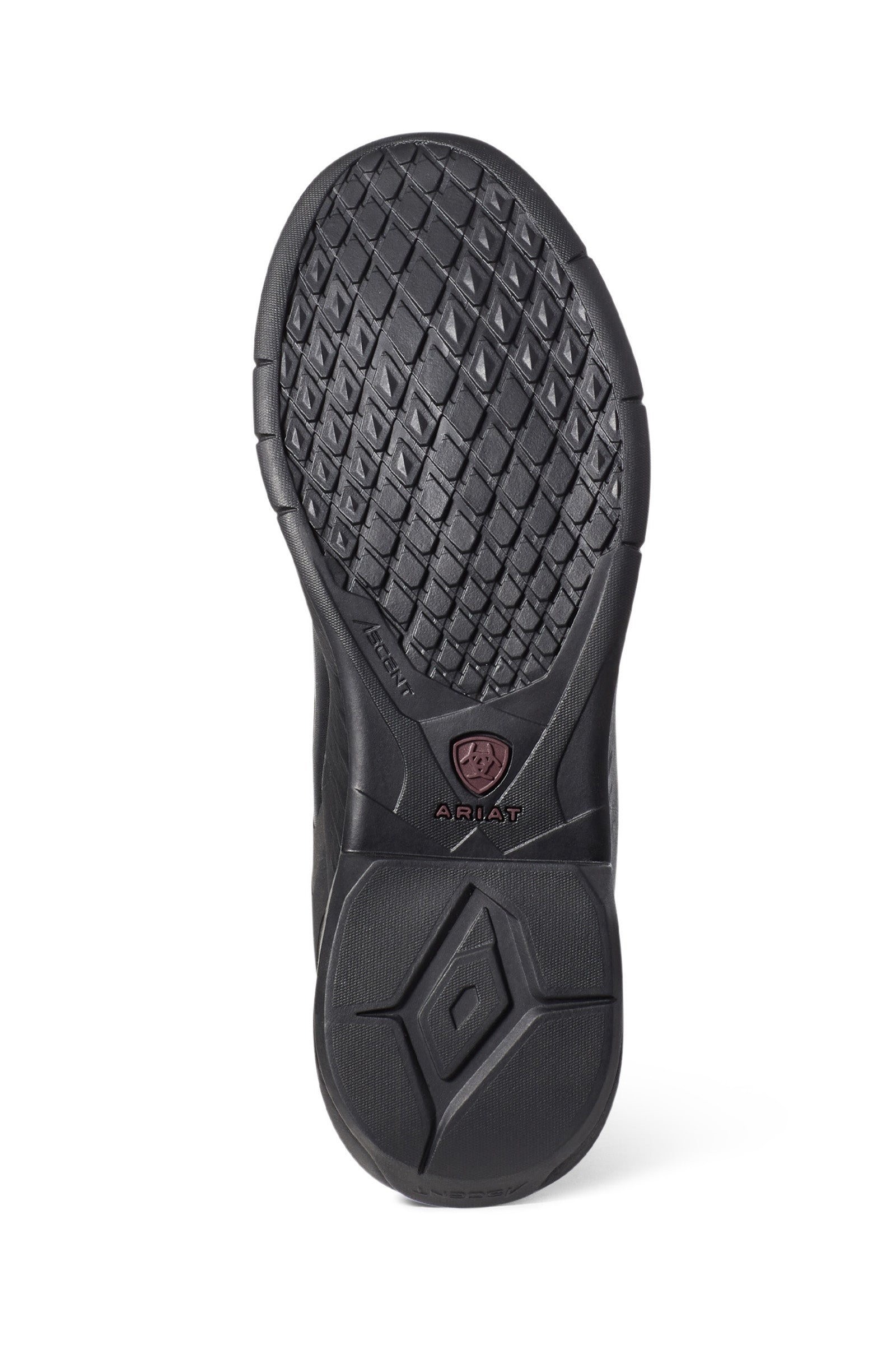 Ariat Ascent Women's Tall Riding Boots Riding Boots & Riding Shoes