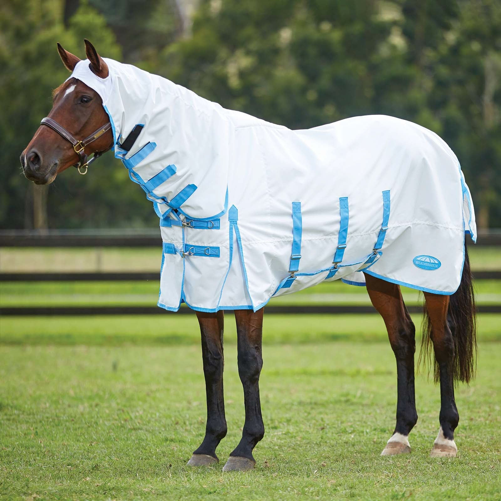 Weatherbeeta Comfitec svettäcke med fast hals Hästtäcken