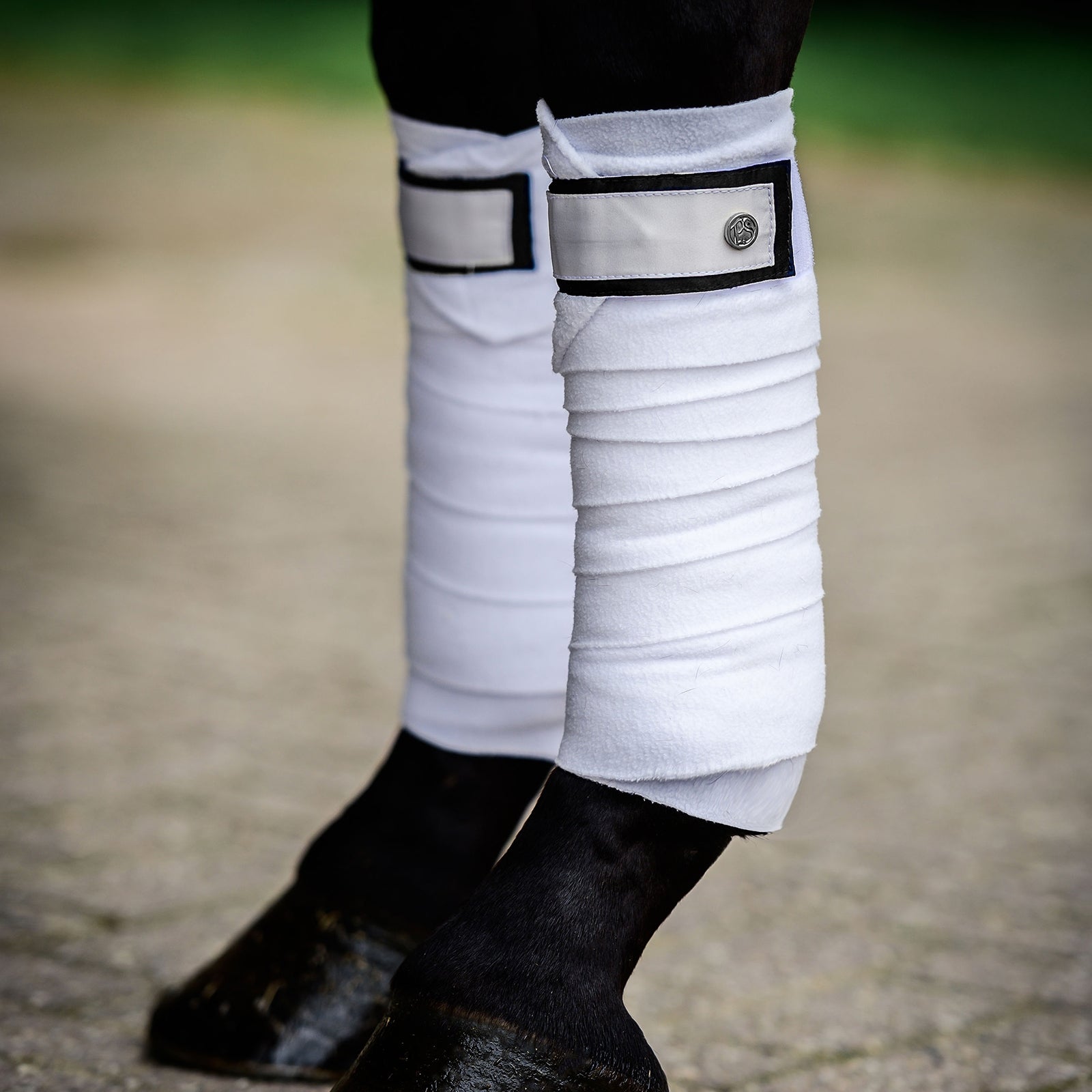 PS of Sweden Winning Round Benlindor (Set med 4st) Leg Protection & Hoof Protection for Horses