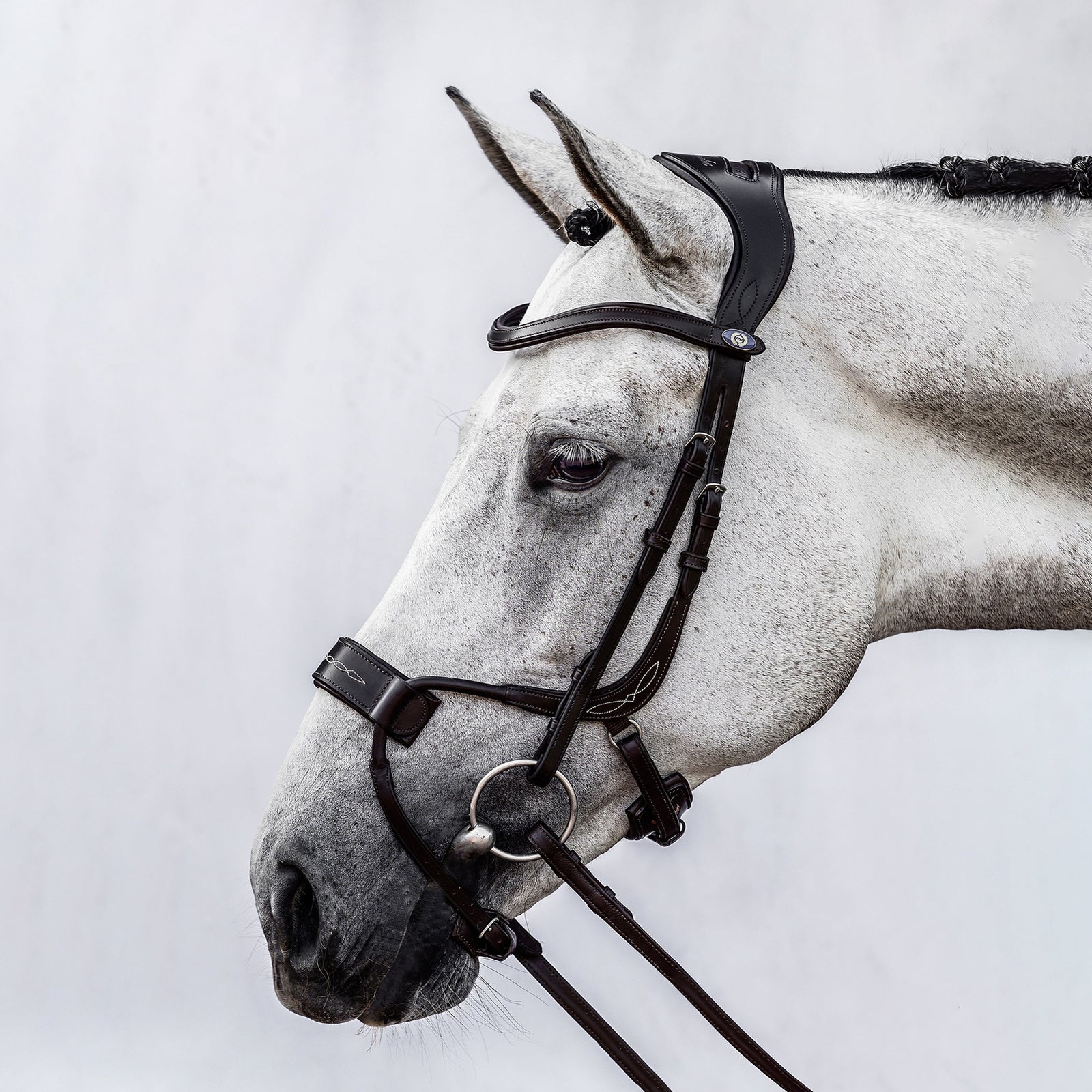 PS of Sweden High Jump Bridle Bridles & Reins