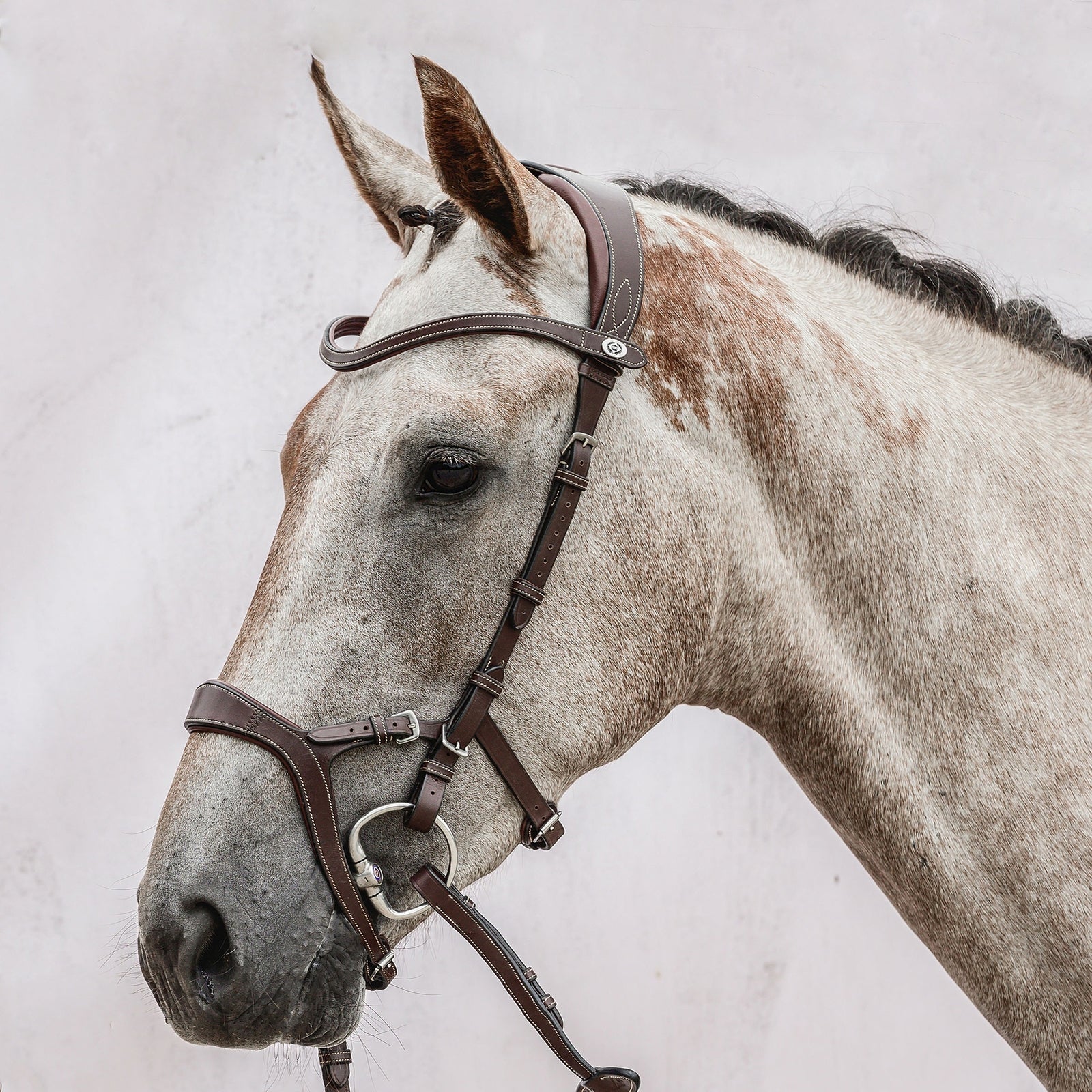 PS of Sweden bridle Nirak Bridles & Reins