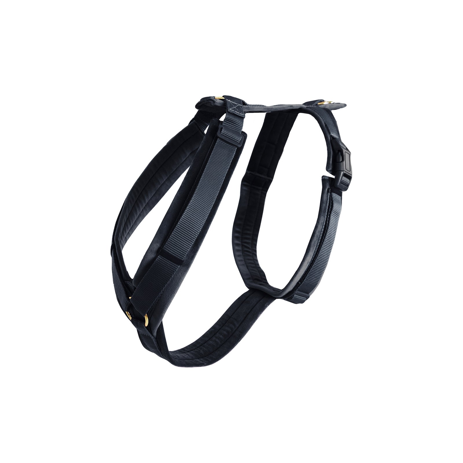Kentucky Dogwear Active Velvet Sele Utrustning för hundar