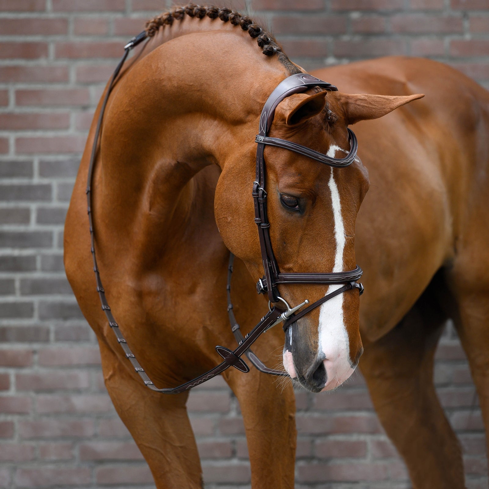 PS of Sweden Stockholm träns Träns & Tyglar