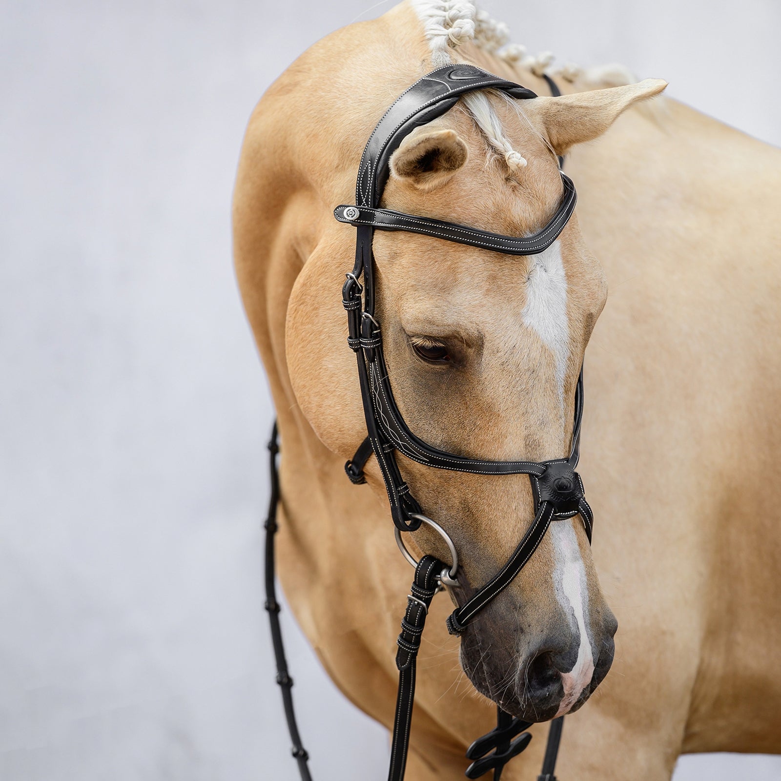 PS of Sweden Athens Mexican Bridle Bridles & Reins