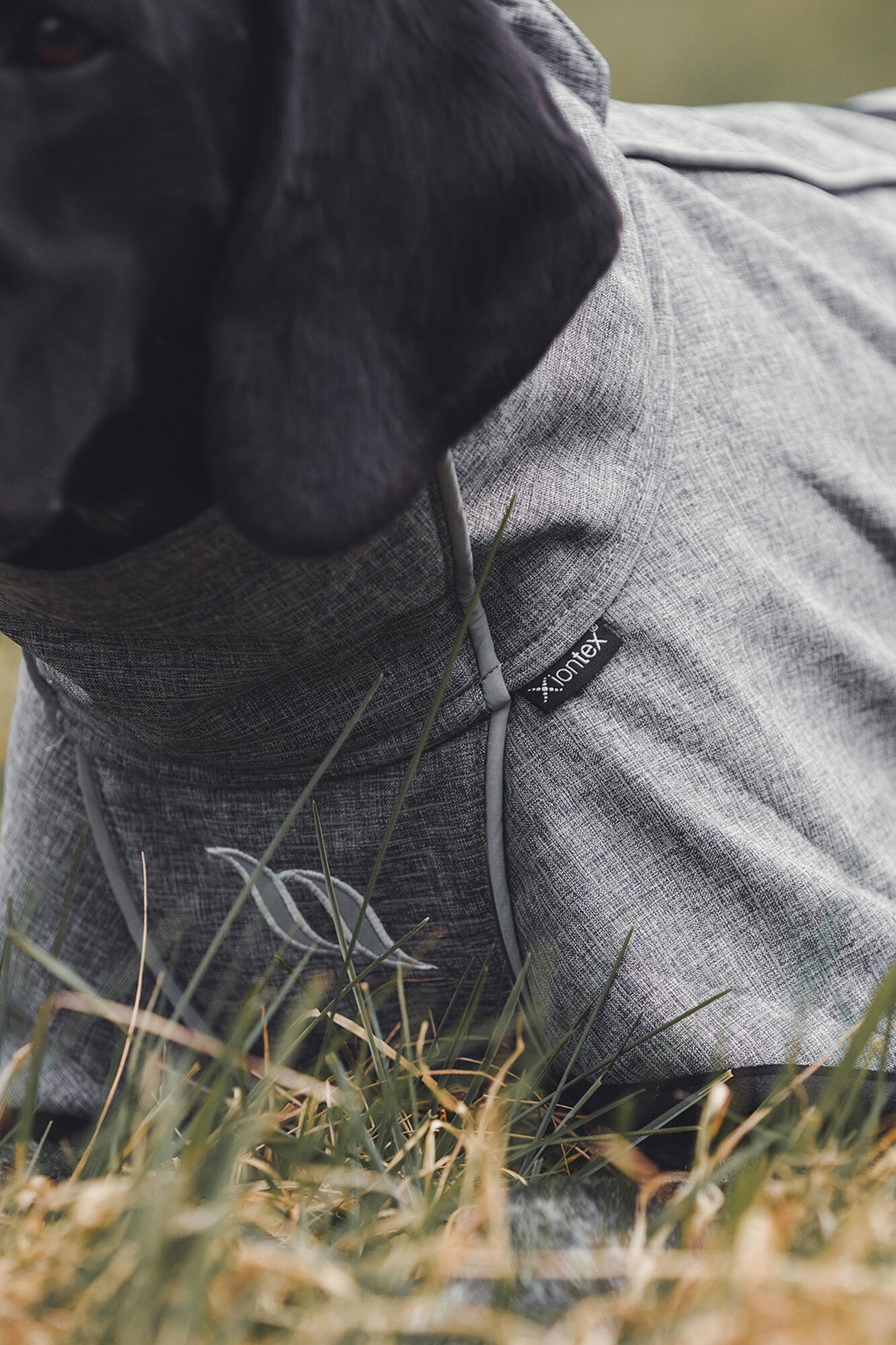 Back on Track Bark All-Round Dog Coat, 70-80cm Dog Accesories