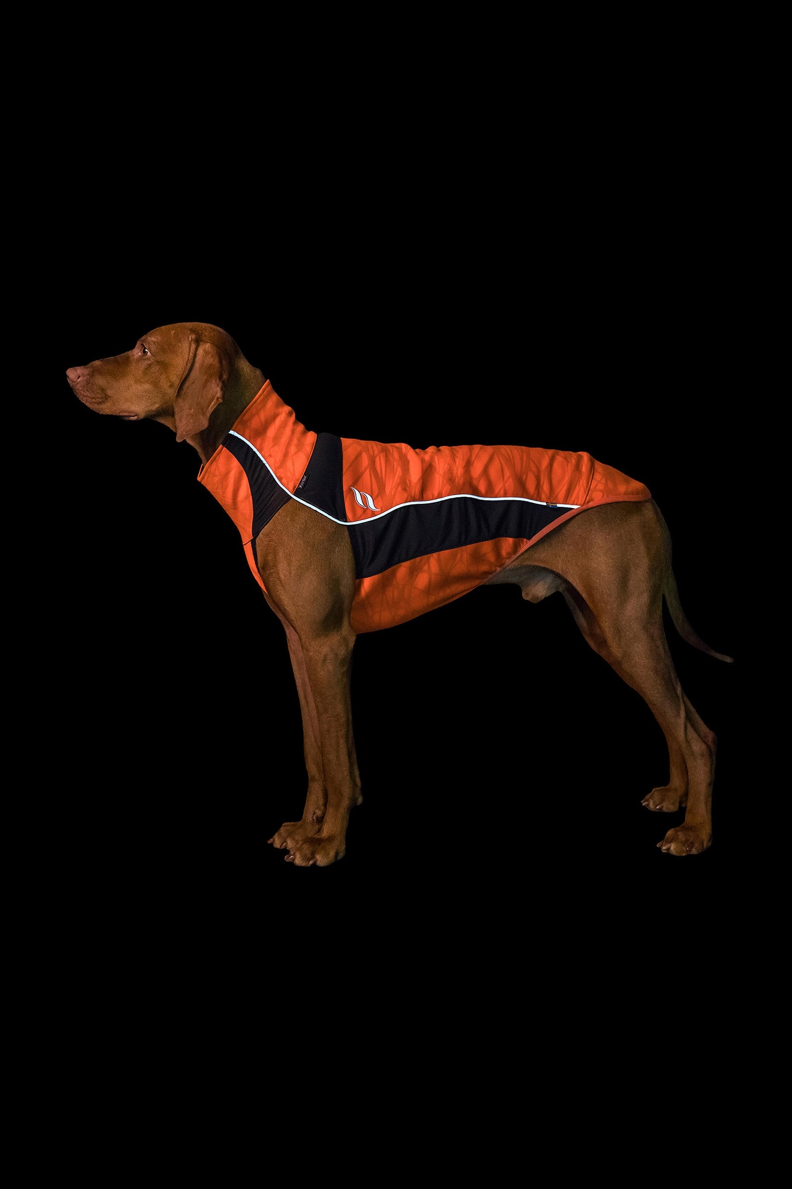 Back on Track Eddie High-Visibility Hundtröja, 40-45cm Utrustning för hundar
