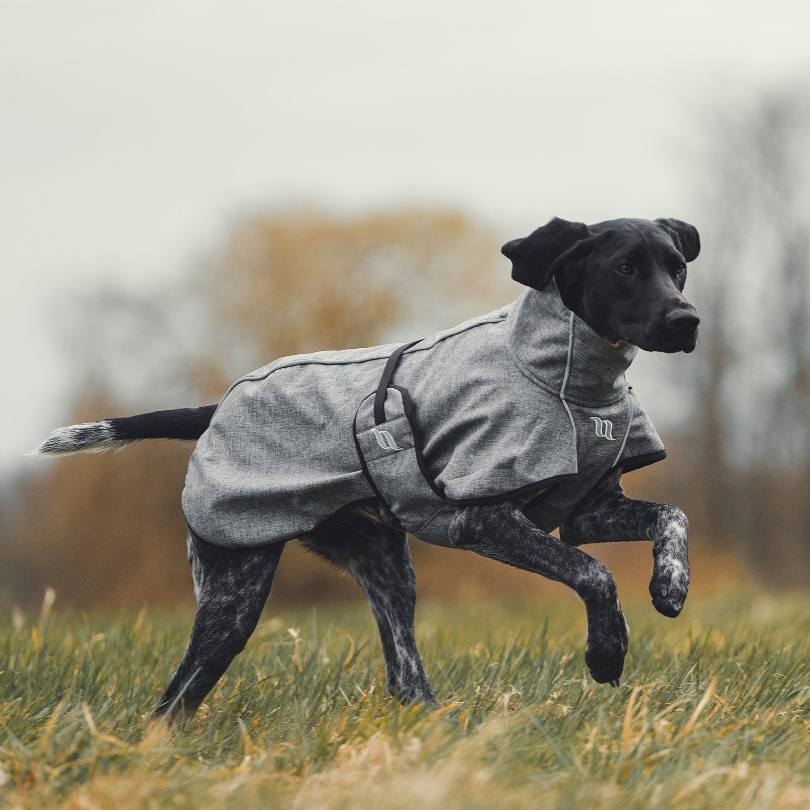 Back on Track Nella All-Round Dog Coat 55-65 cm Dog Accesories