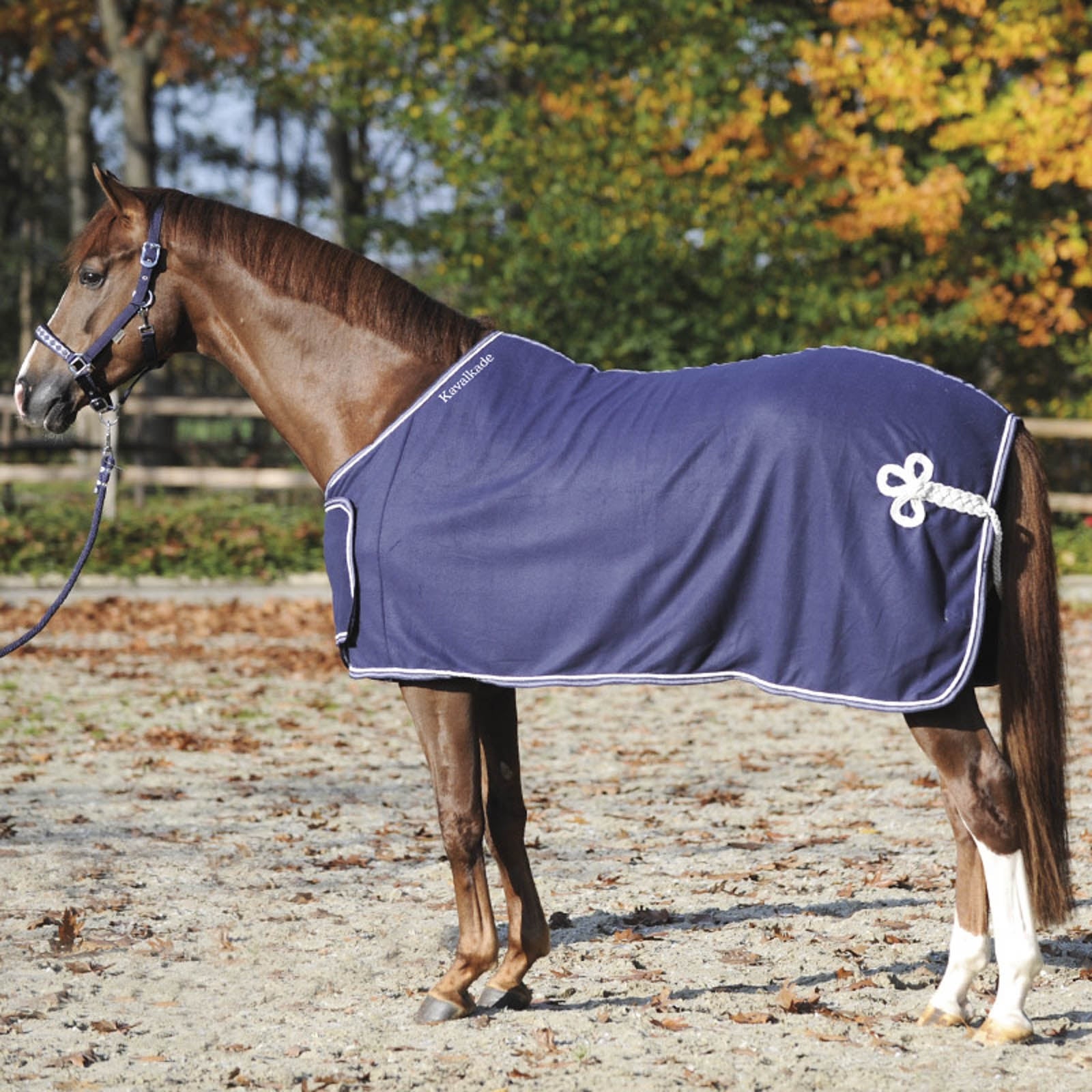 Kavalkade Cooler with Chest Bib Horse Rugs