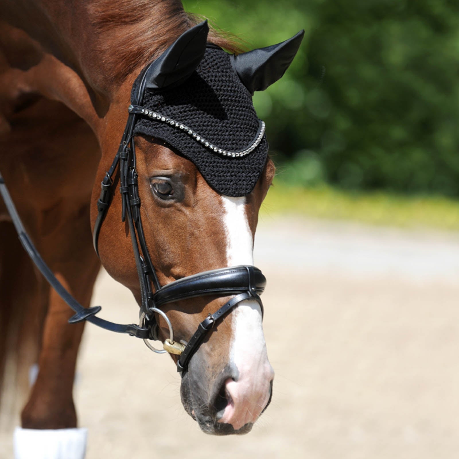 Kavalkade Easy Fly Veil Antifly Protection for Horses