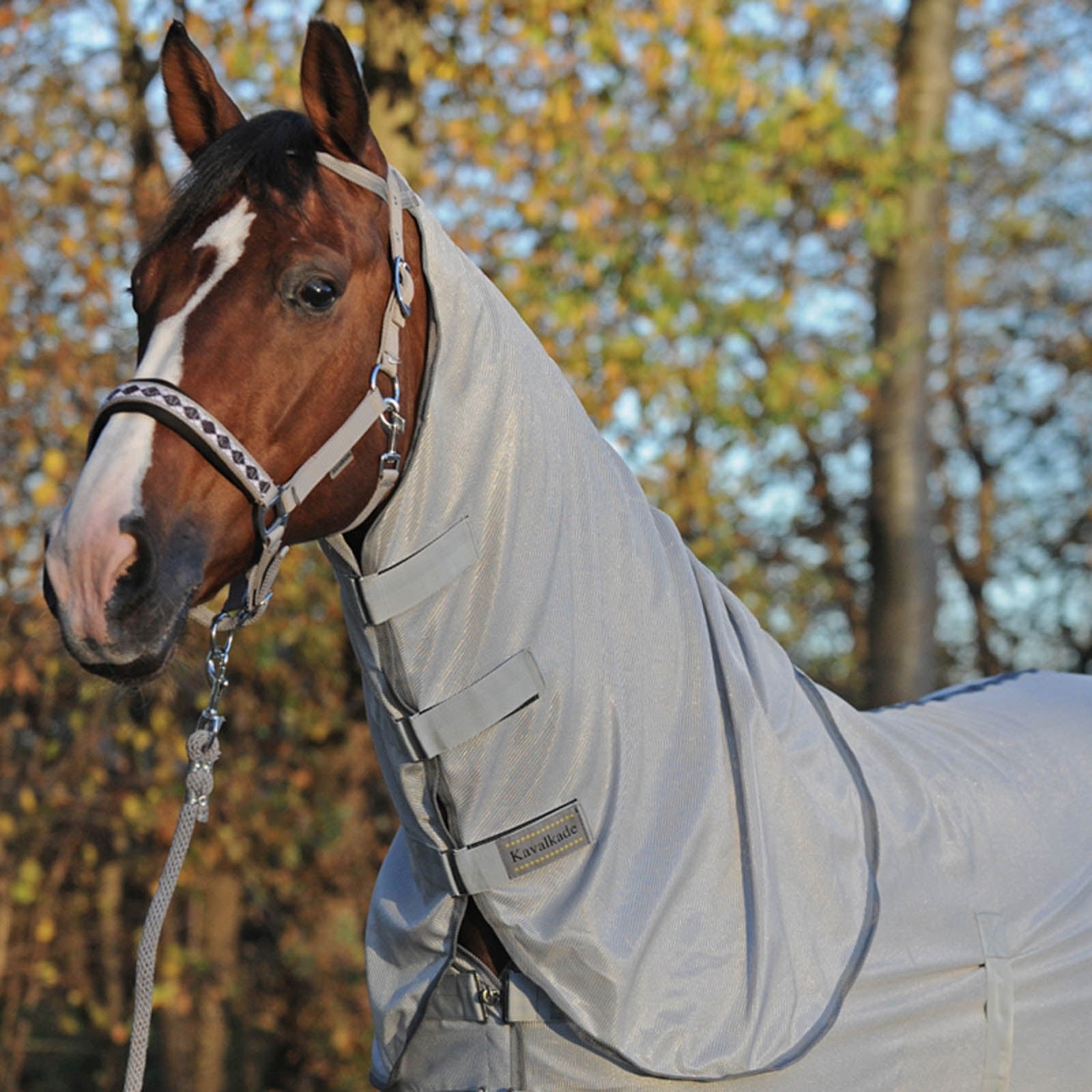 Kavalkade Fly Rug with Removable Neck Horse Rugs