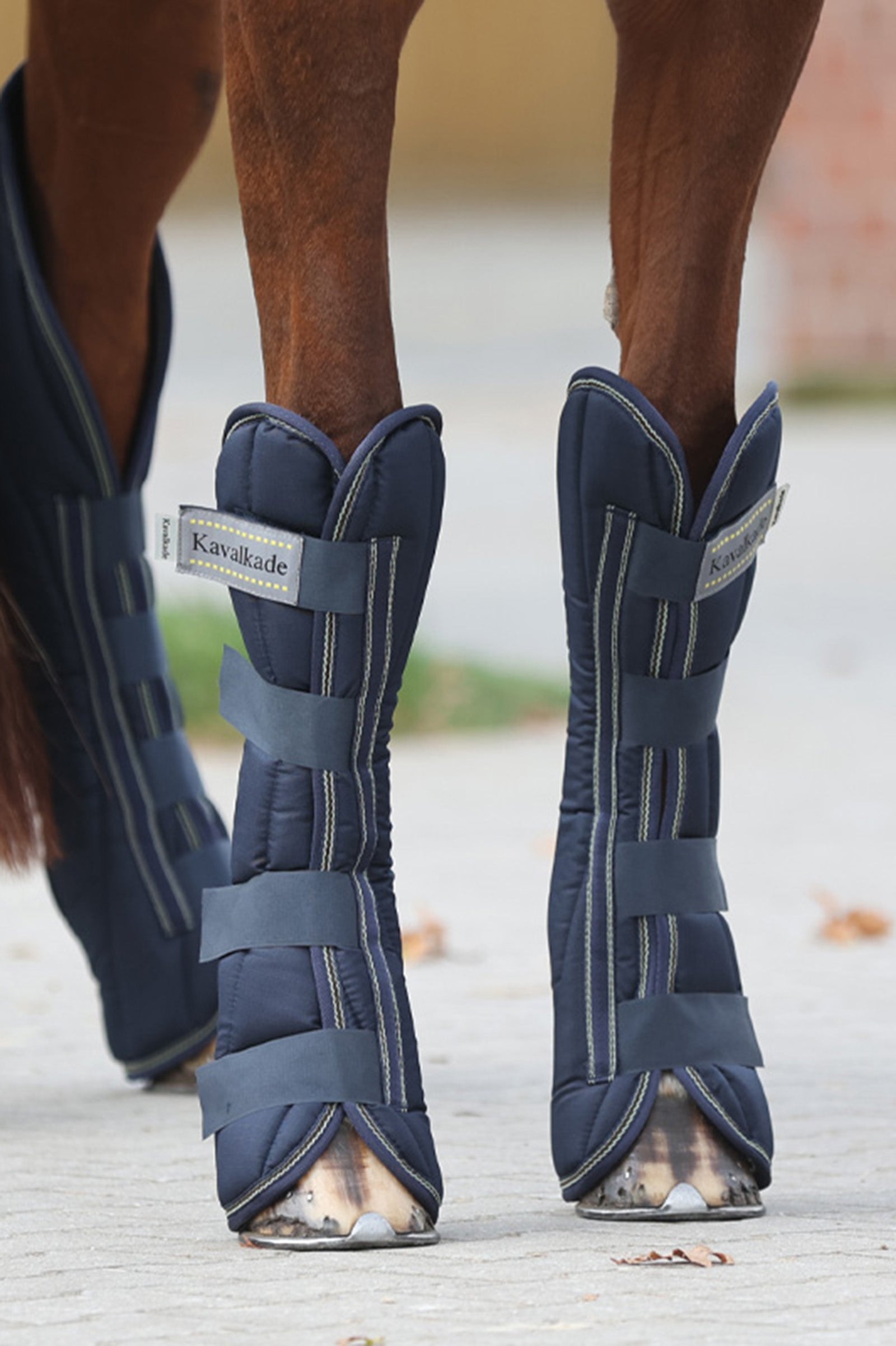 Kavalkade Montreal transportskydd Leg Protection & Hoof Protection for Horses