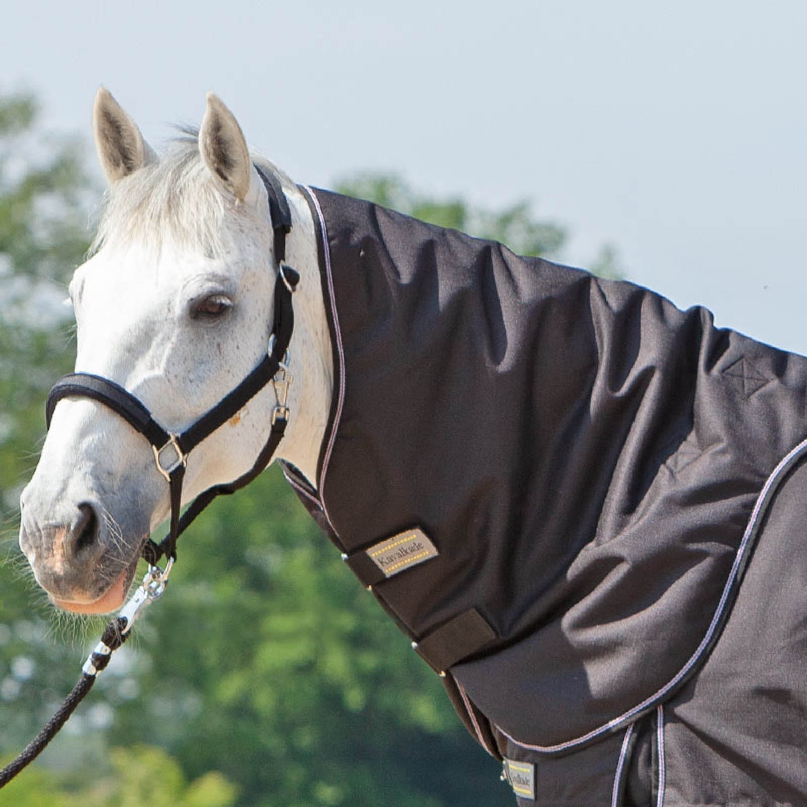Kavalkade Neck för Alaska IV Halstäcke, 100 g Hästtäcken