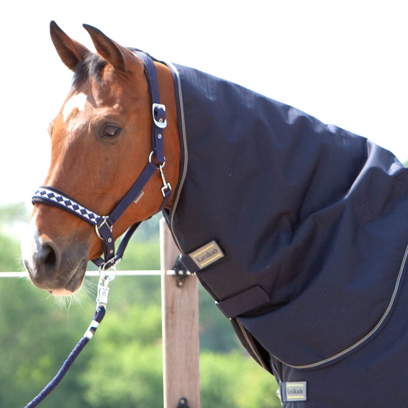 Kavalkade halstäcke för Montreal Turnout täcke, 100g Hästtäcken