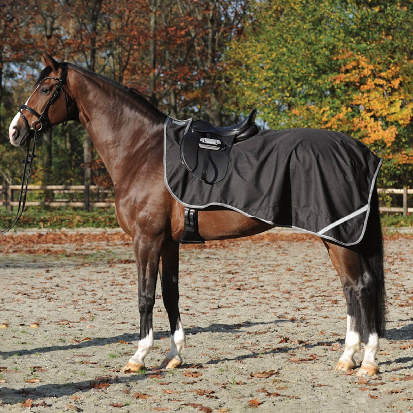 Kavalkade Rain Exercise Sheet Horse Rugs