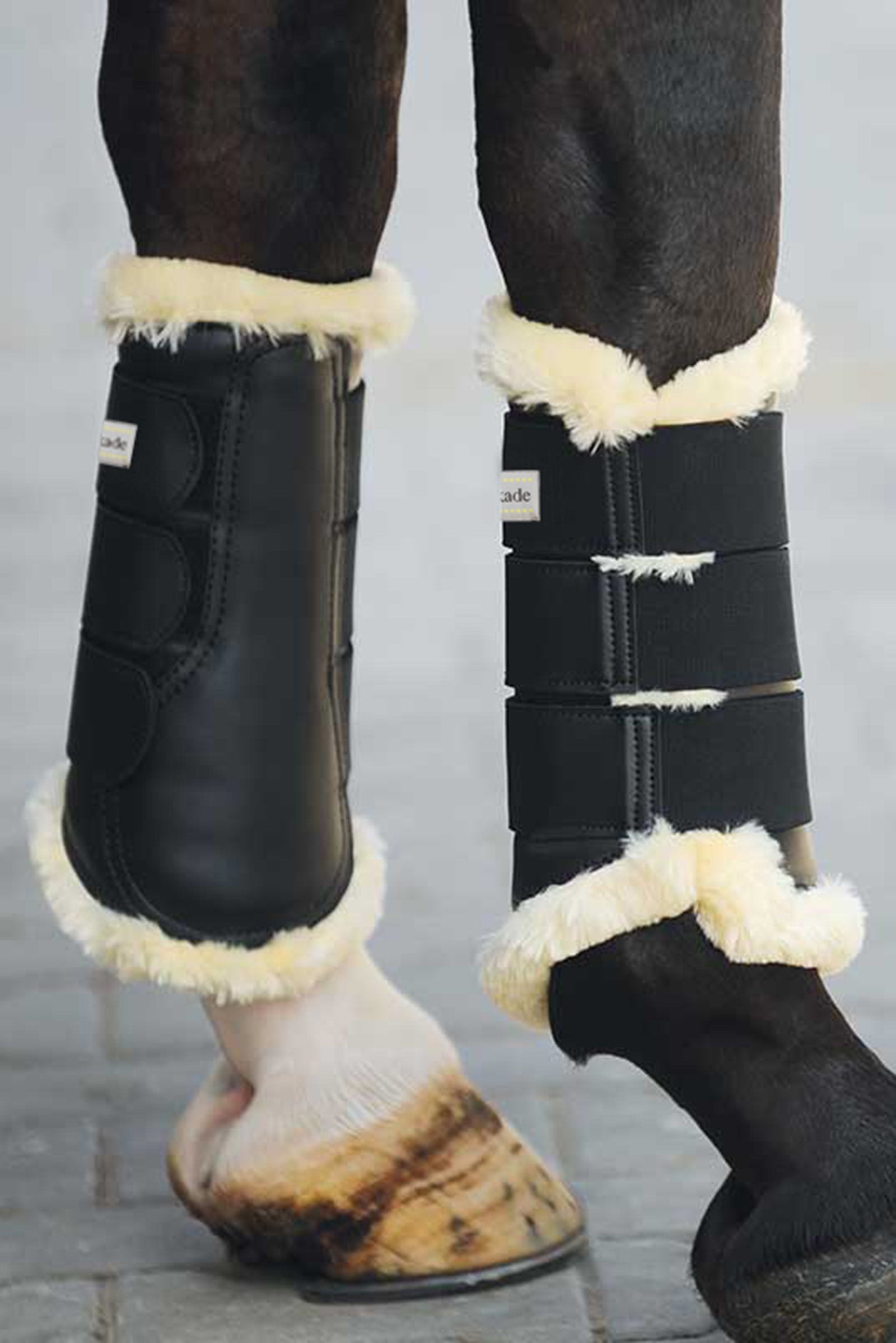 Kavalkade Show strykkappor Leg Protection & Hoof Protection for Horses