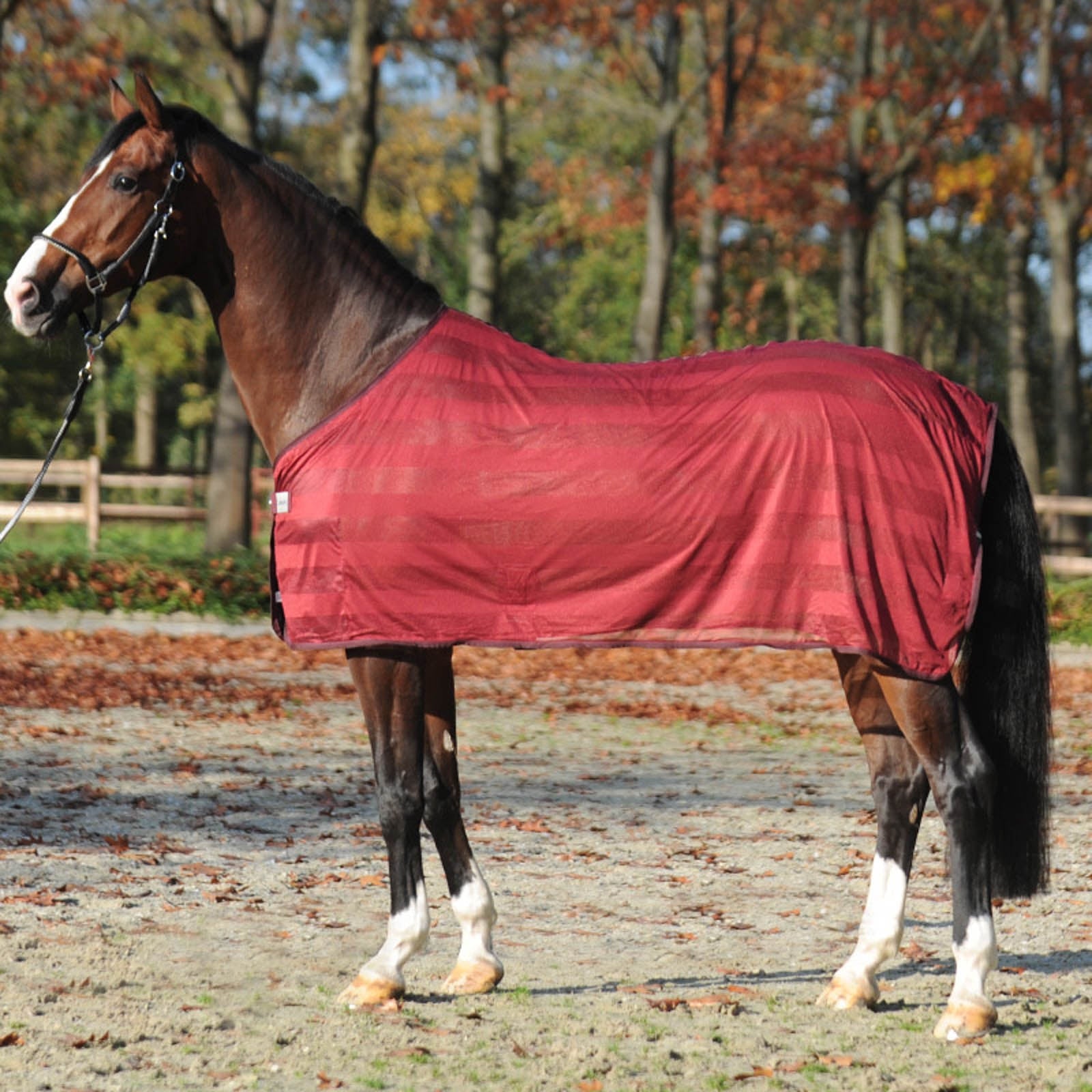Kavalkade Stripe Fly Rug Horse Rugs