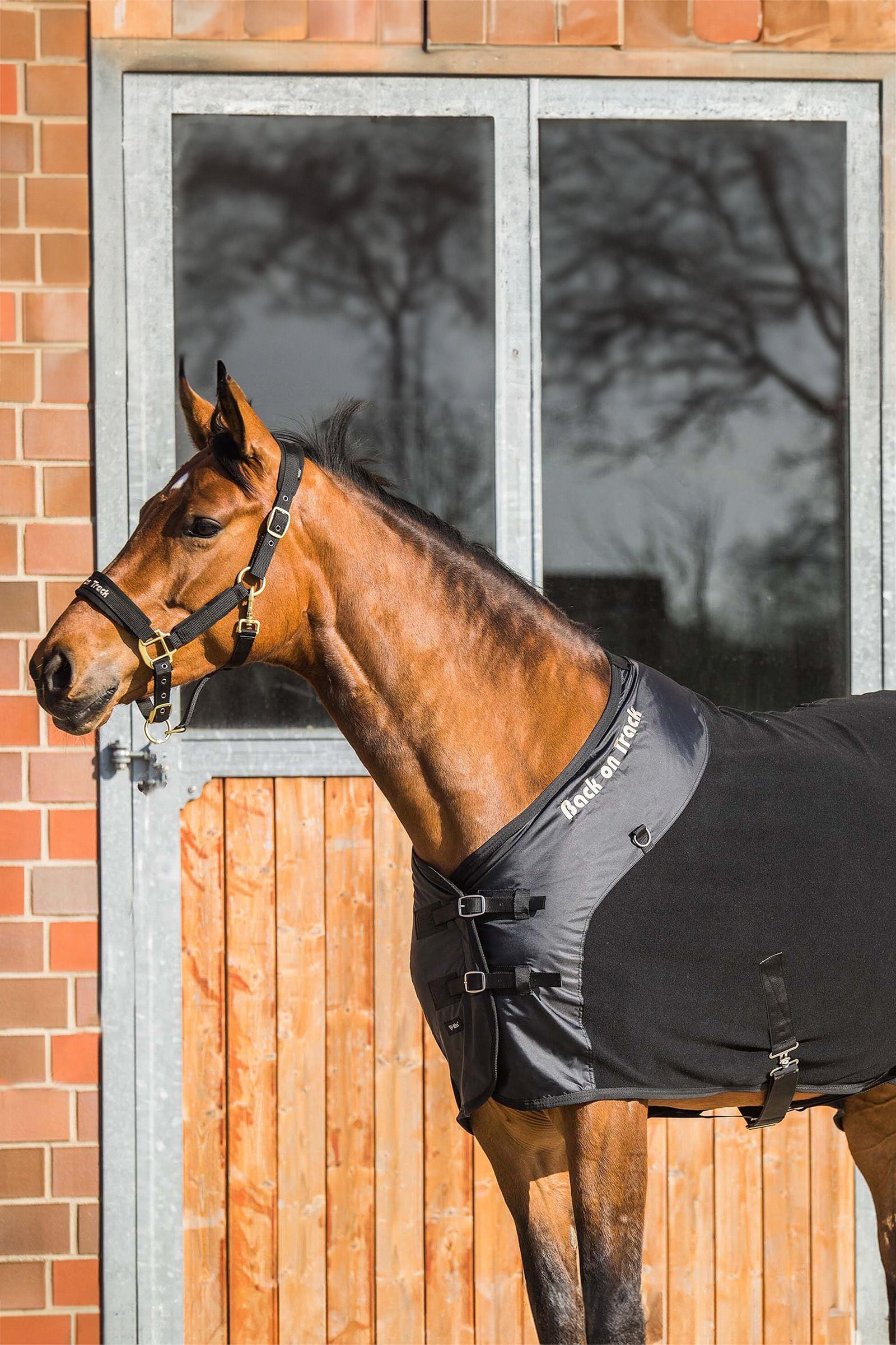 Back on Track Supreme Fleece Rug Horse Rugs