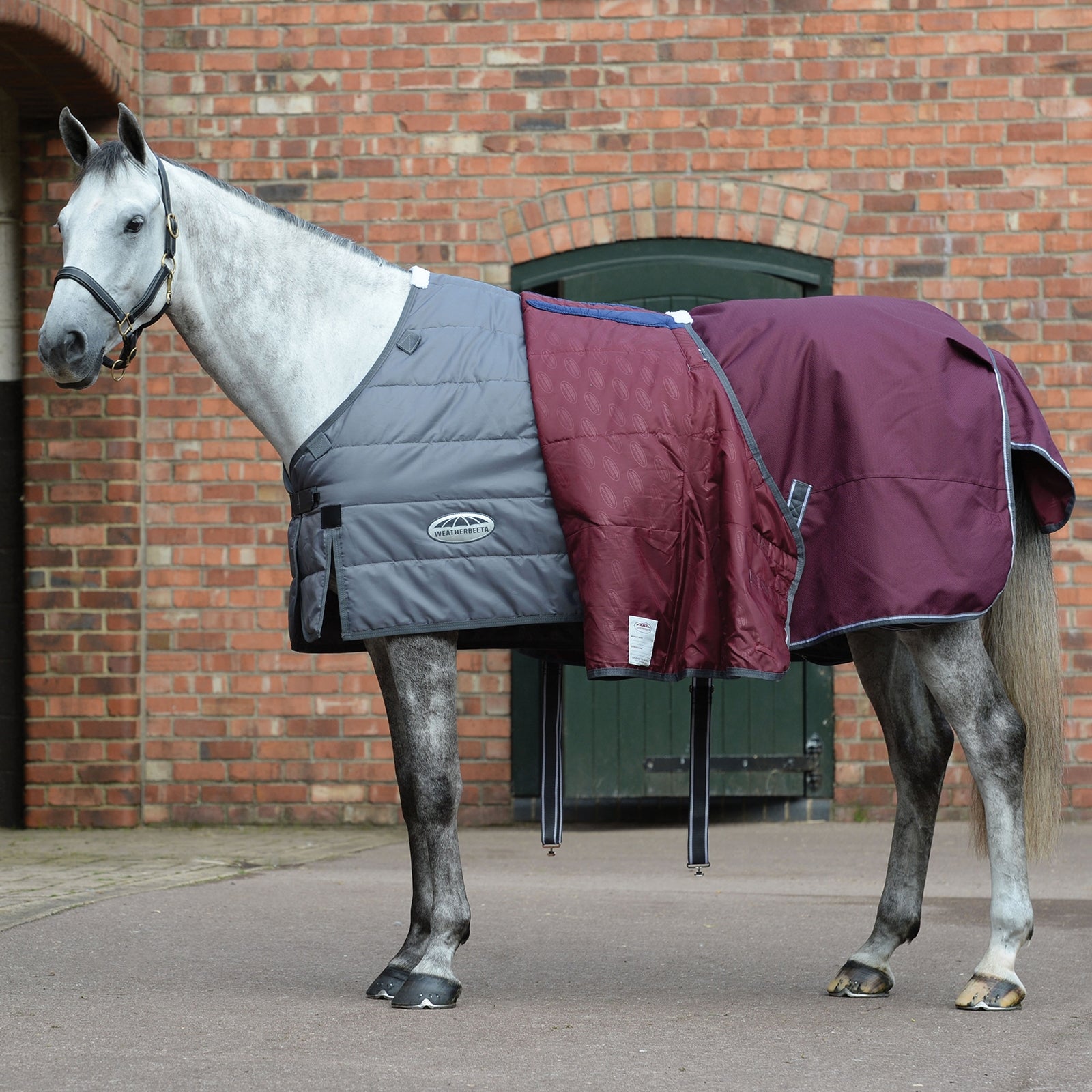 Weatherbeeta Comfitec Plus Dynamic II Standard Neck Turnout Rug, 0g Horse Rugs