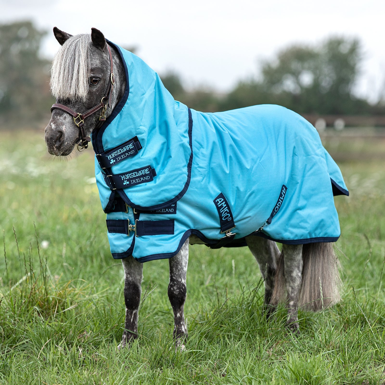 Horseware Amigo Hero 6 Petite Plus Turnout Utetäcke inkl. Avtagbart halstäcke, 0g Hästtäcken