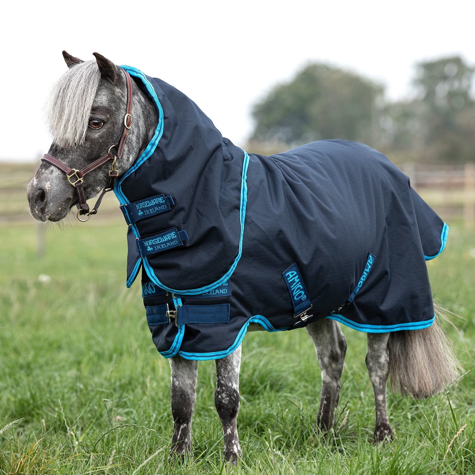 Horseware Amigo Hero 6 Petite Plus Turnout Utetäcke inkl. Avtagbart halstäcke, 200g Hästtäcken